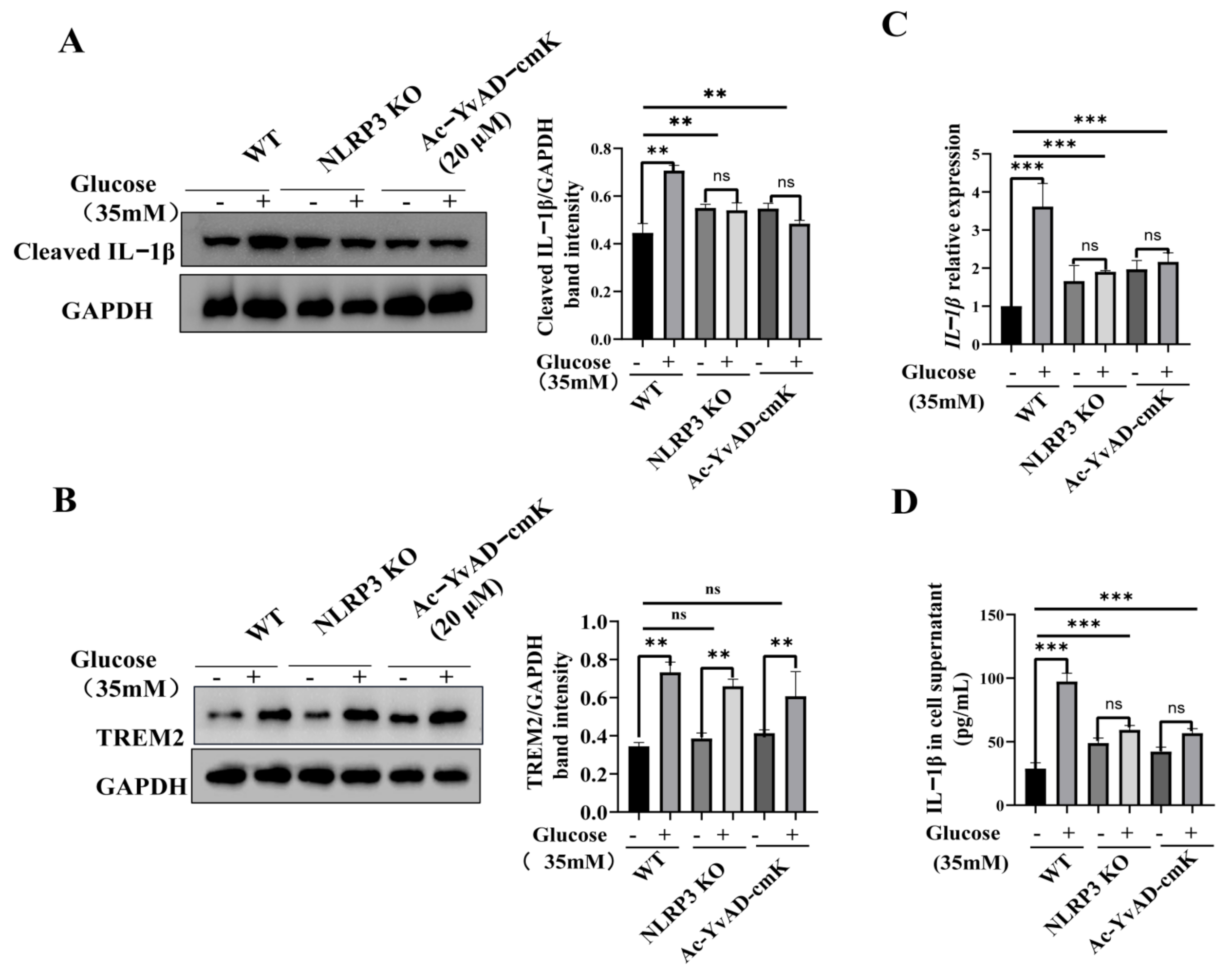Brainsci 11 00896 g003