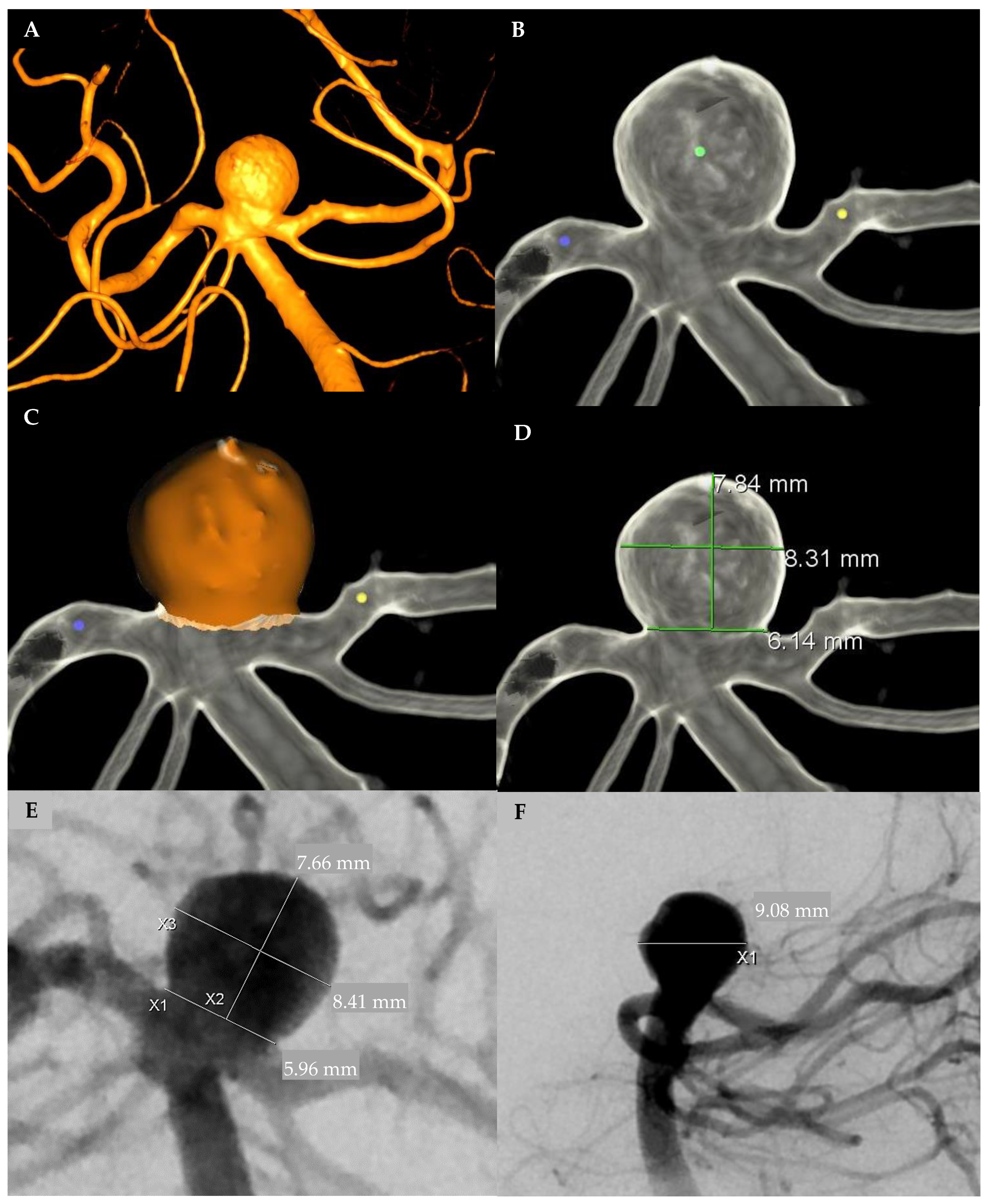 Brainsci 11 00901 g001