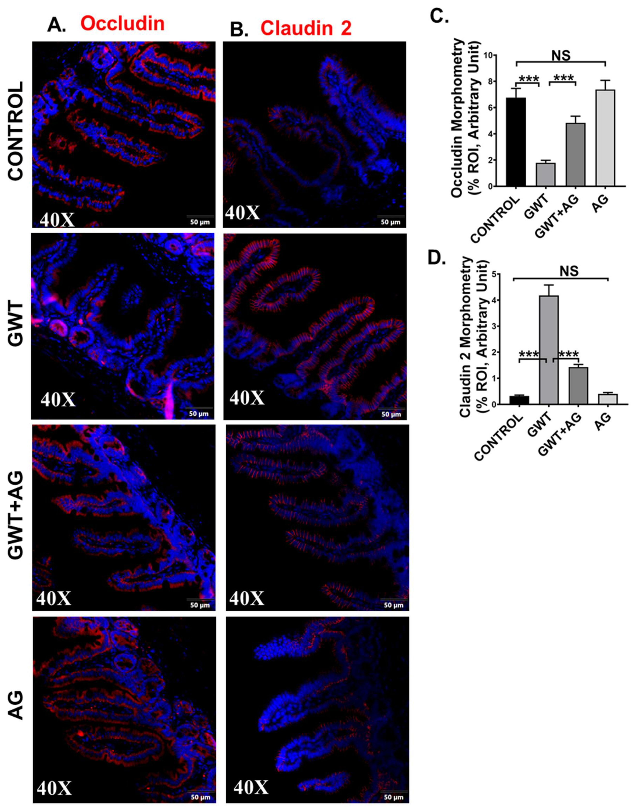 Brainsci 11 00905 g003 Brainsci 11 00905 g003