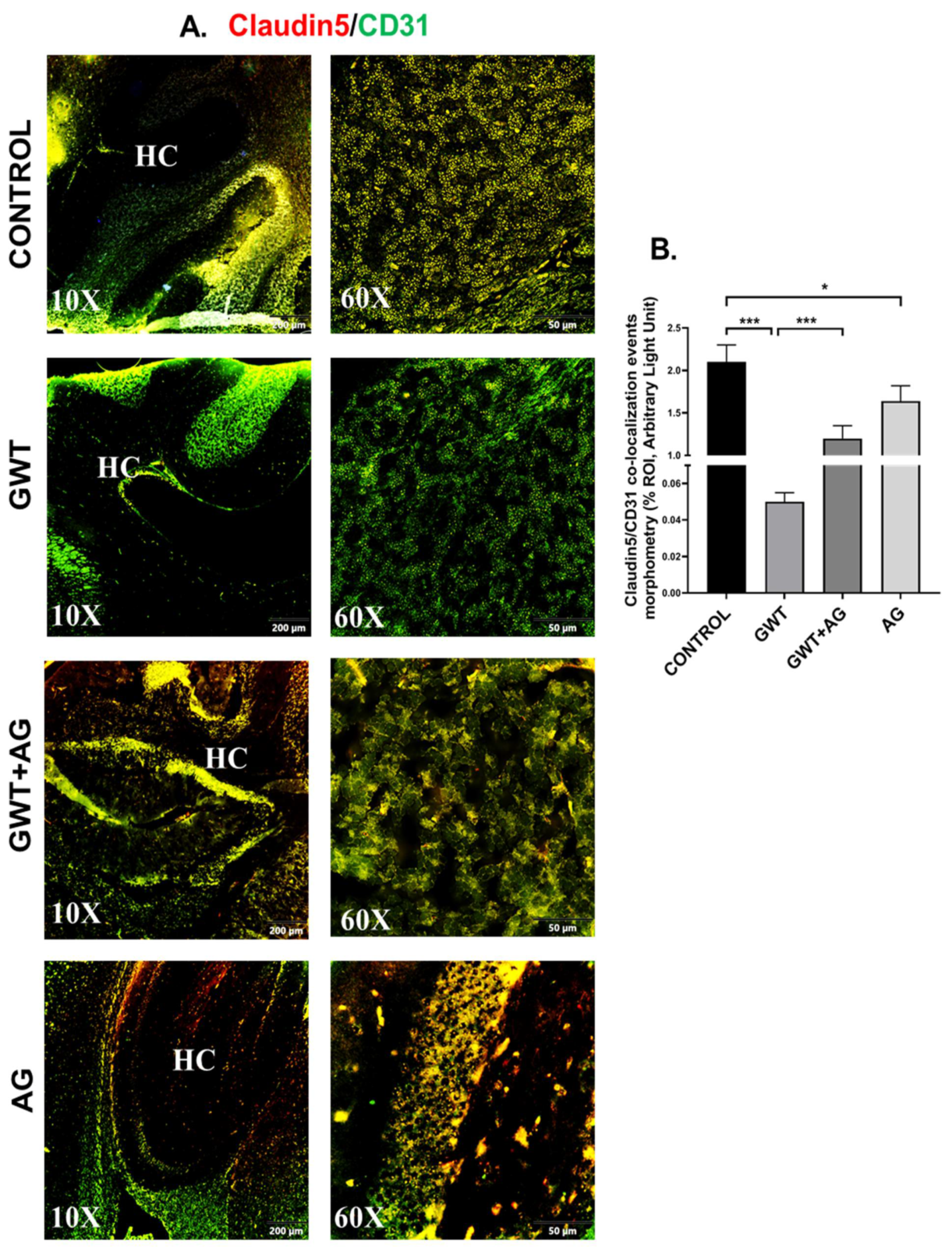 Brainsci 11 00905 g006 Brainsci 11 00905 g006
