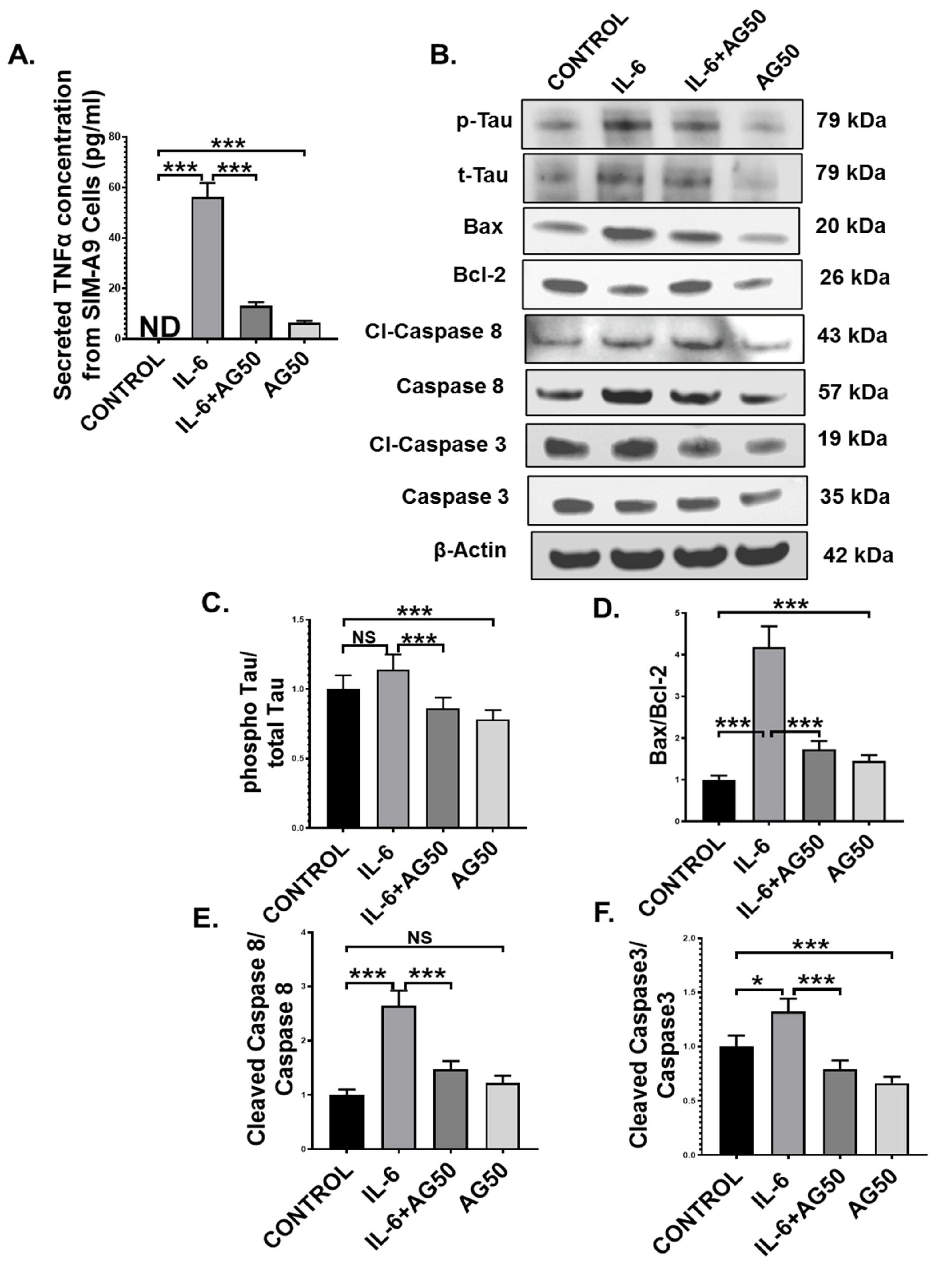 Brainsci 11 00905 g010 Brainsci 11 00905 g010