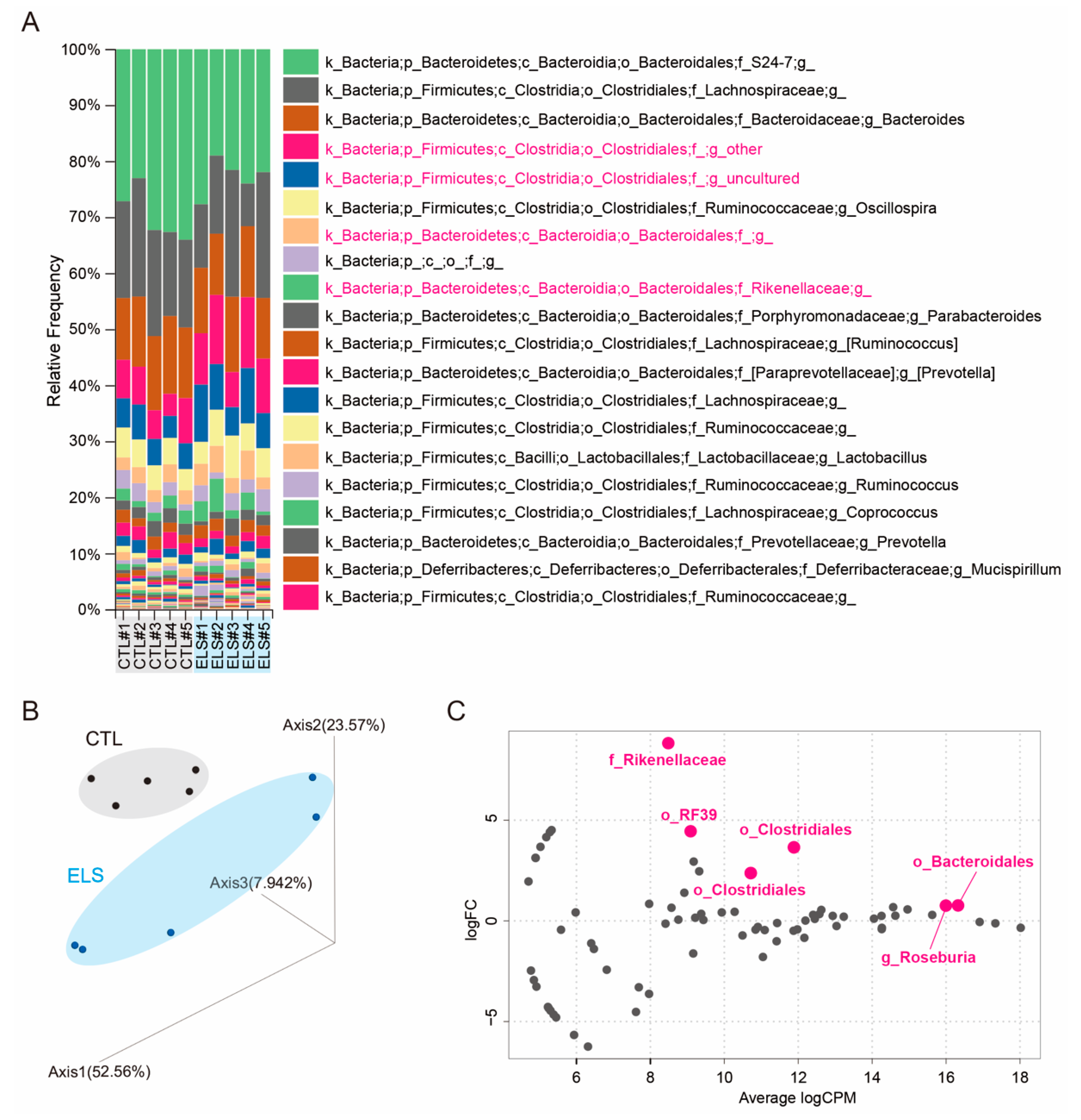 Brainsci 11 00913 g001