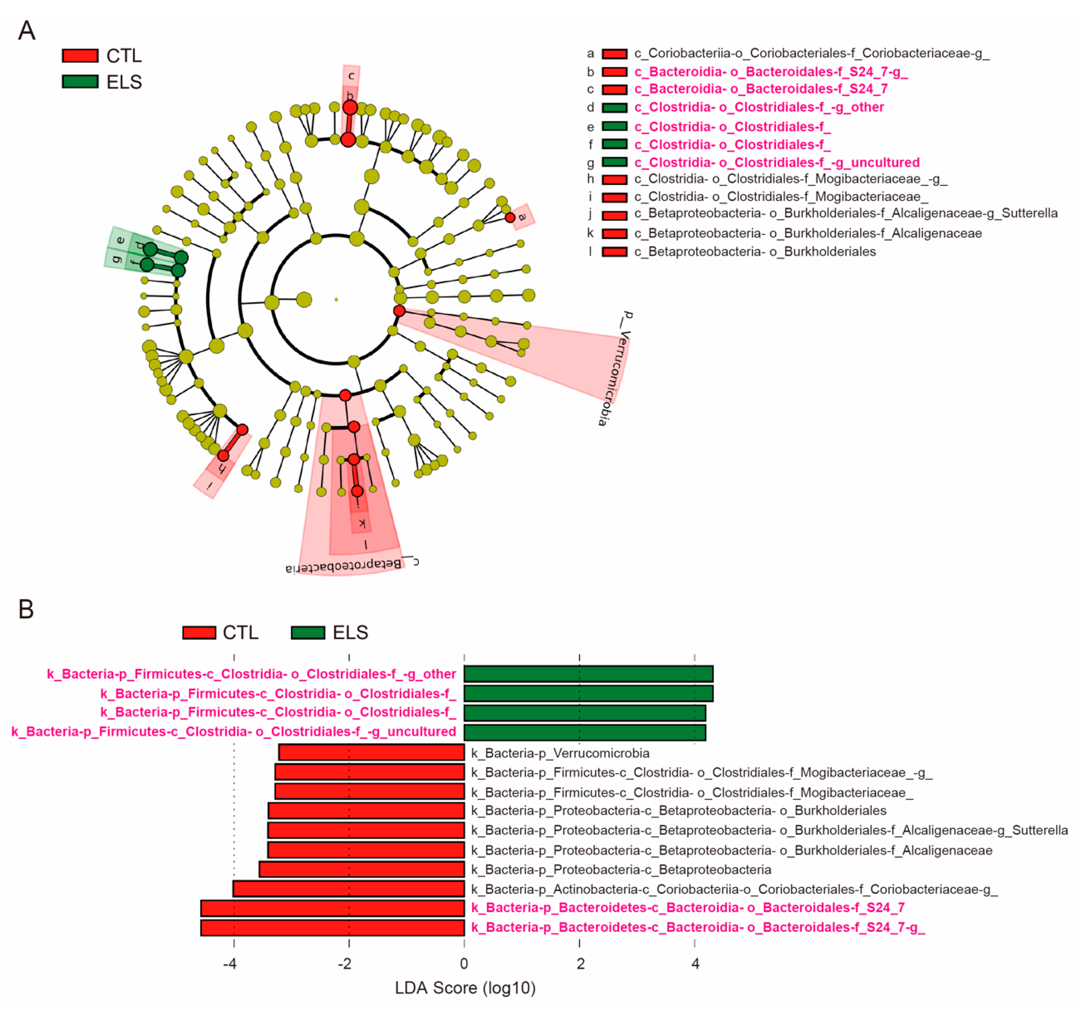 Brainsci 11 00913 g002