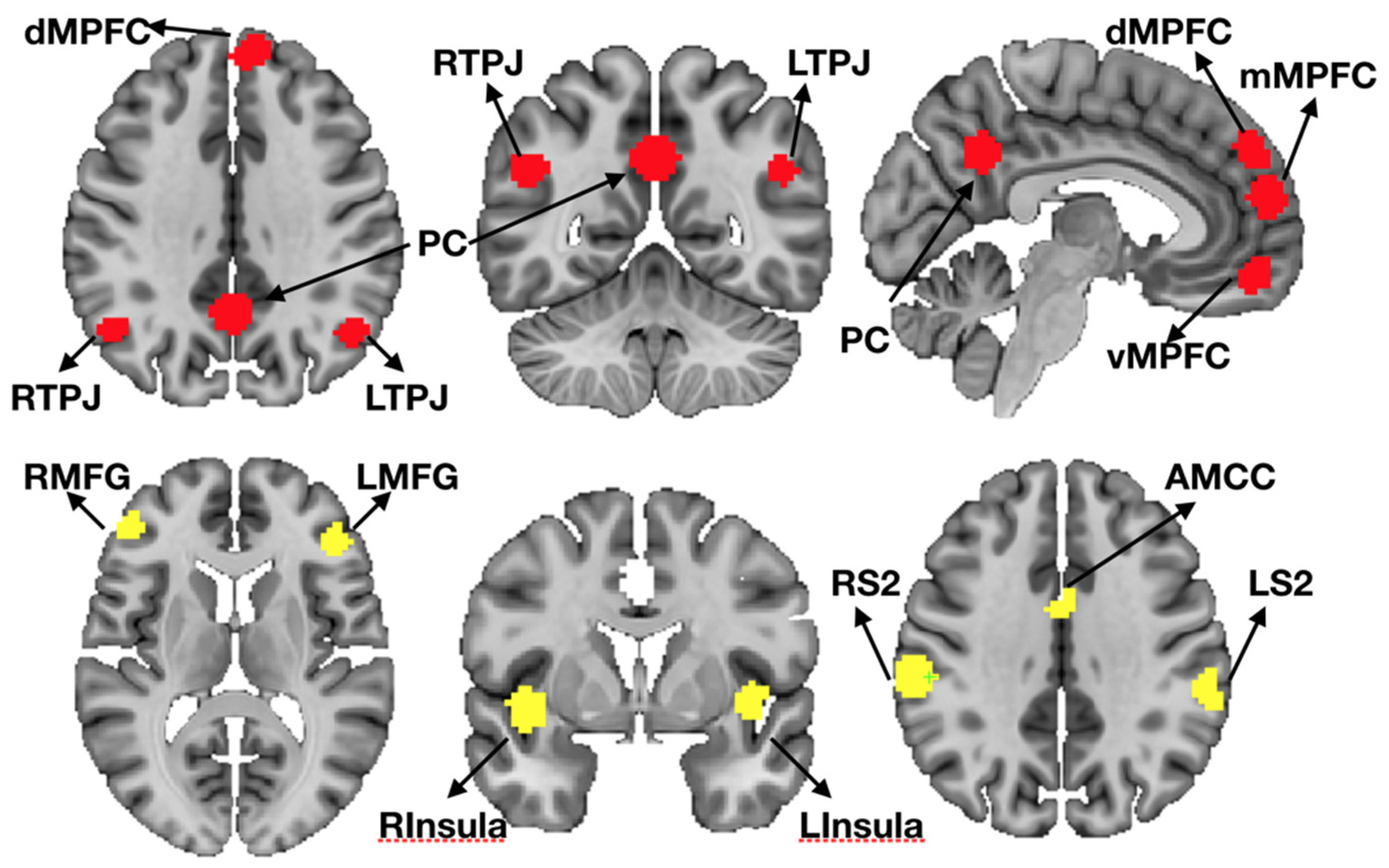 Brainsci 11 00965 g002