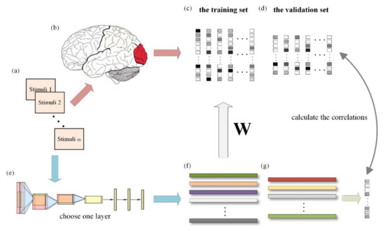 The Knowledge Pyramid (8 Layer Model). Stimuli (neural