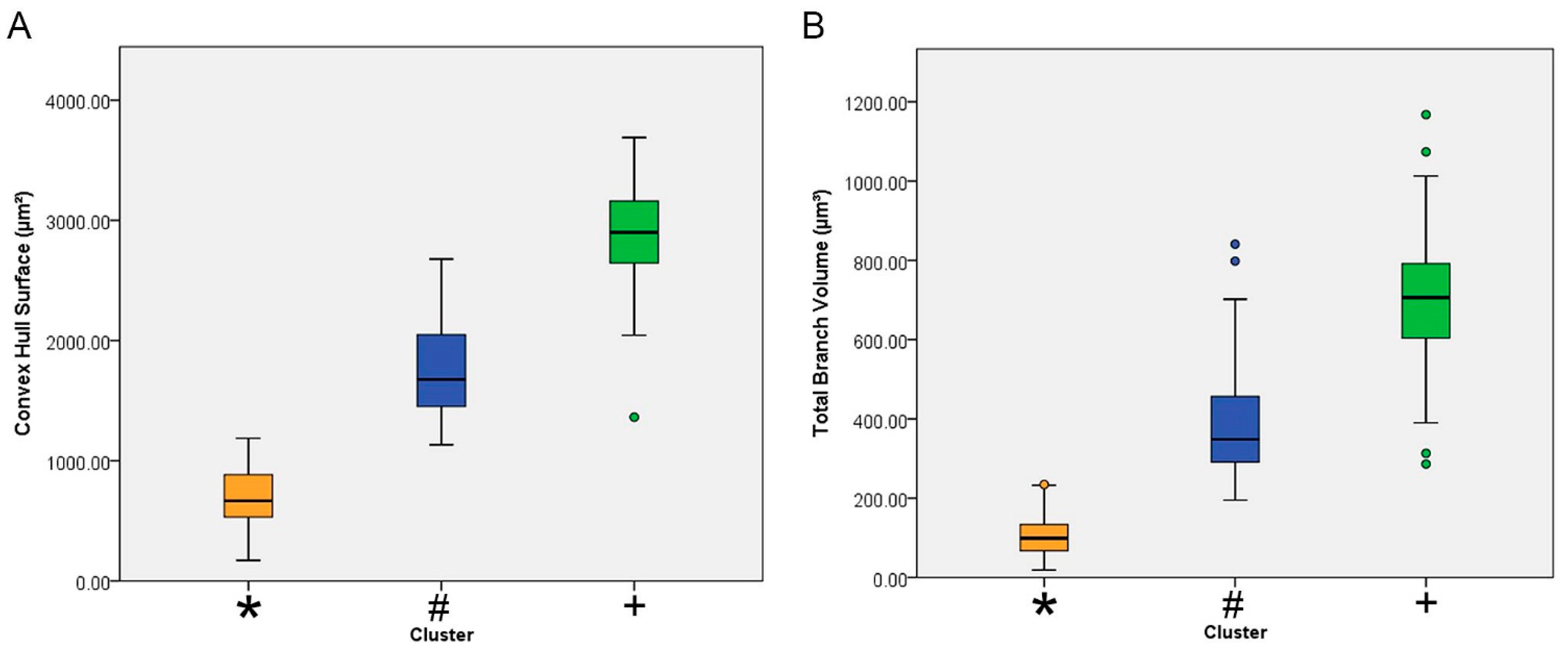 Brainsci 11 01009 g003