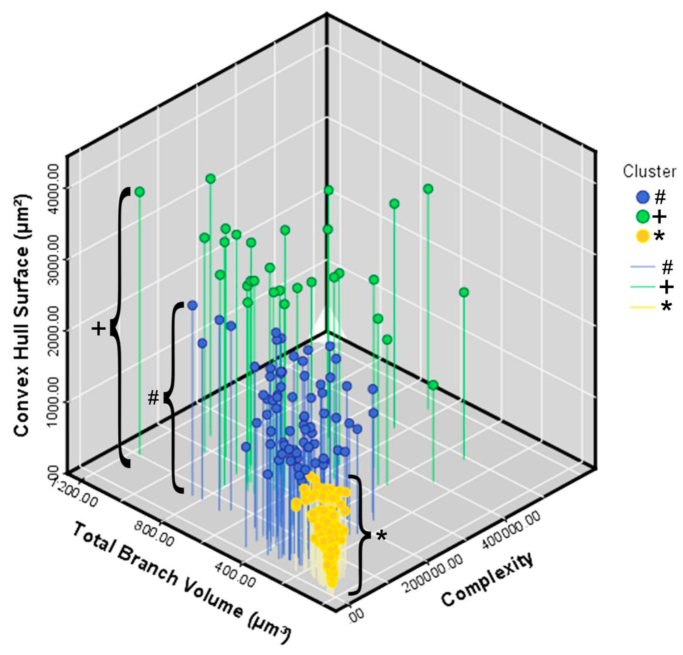 Brainsci 11 01009 g005