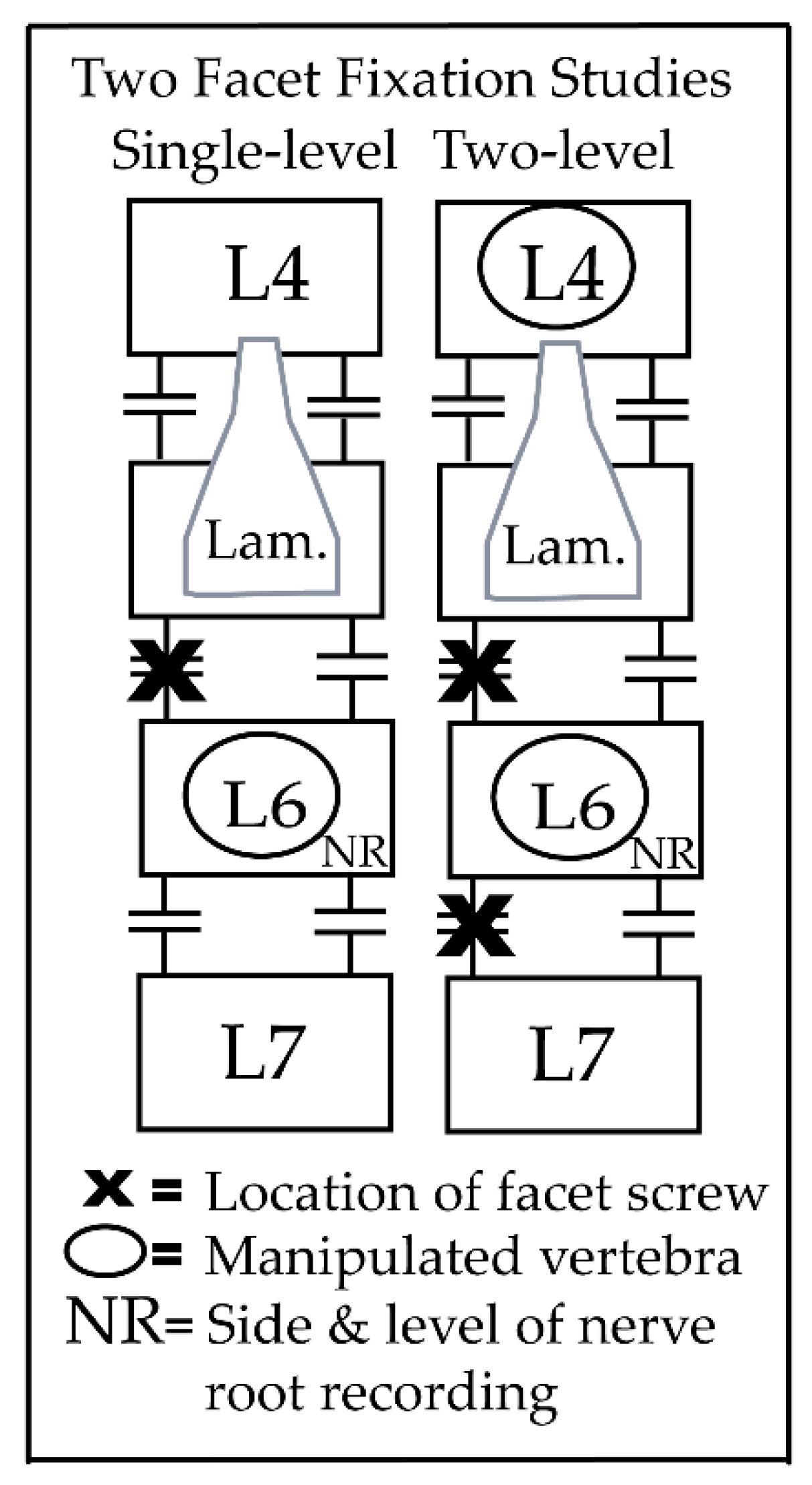 Brainsci 11 01022 g001