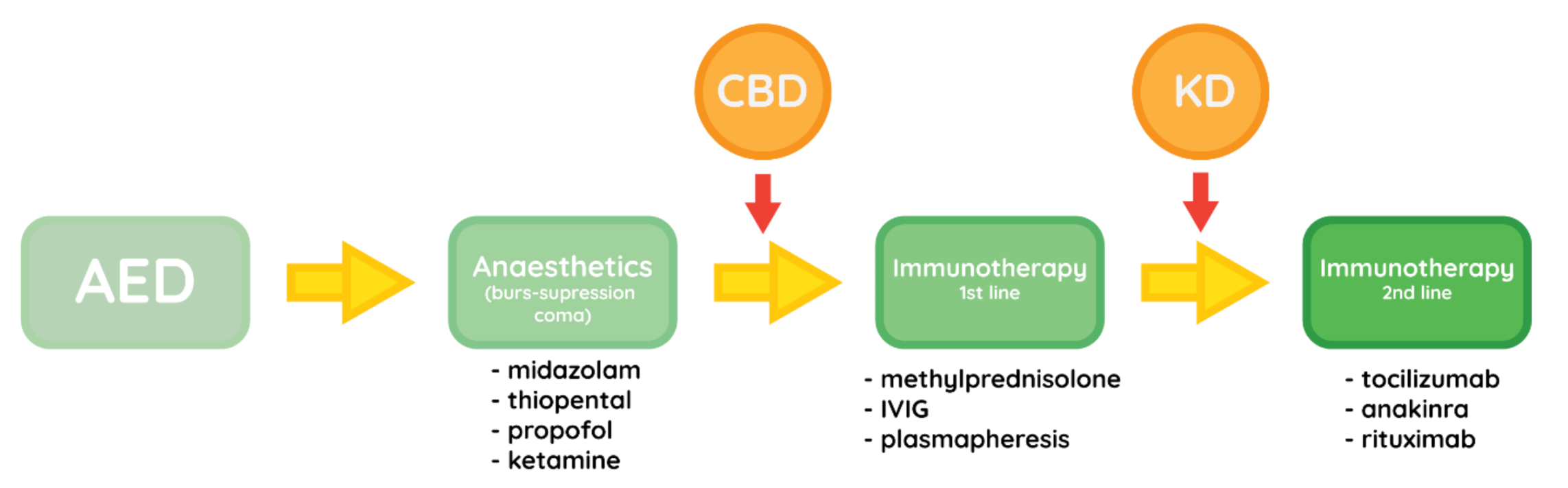 Brainsci 11 01030 g002 Brainsci 11 01030 g002