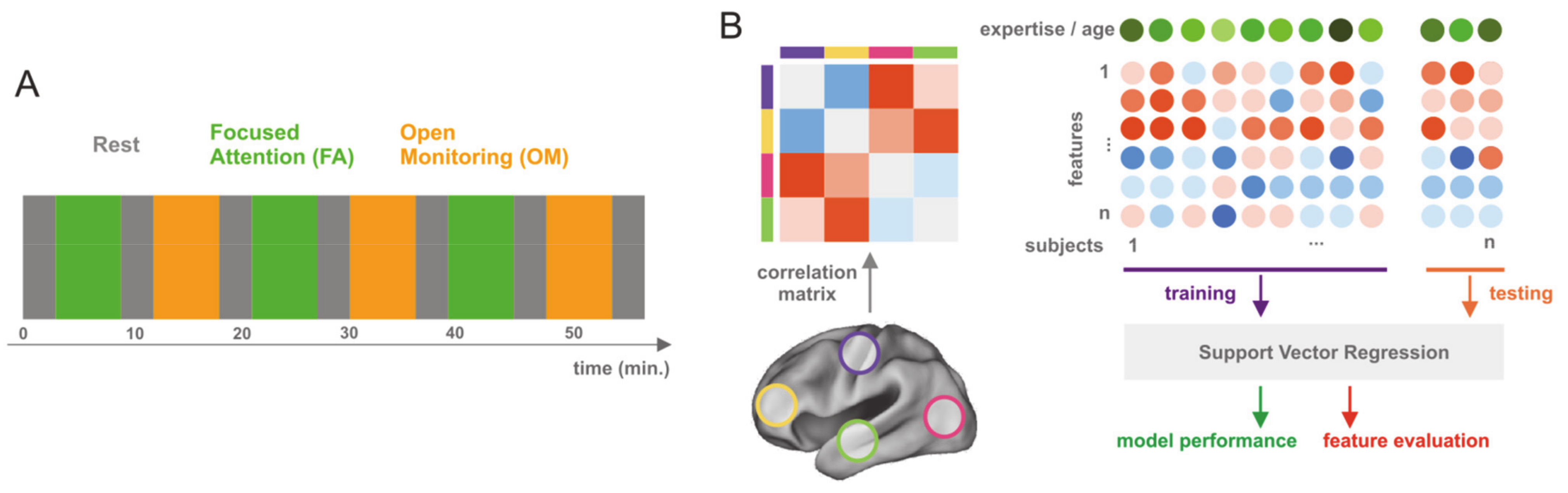 Brain Sciences | Free Full-Text | Neuroplasticity within and between  Functional Brain Networks in Mental Training Based on Long-Term Meditation