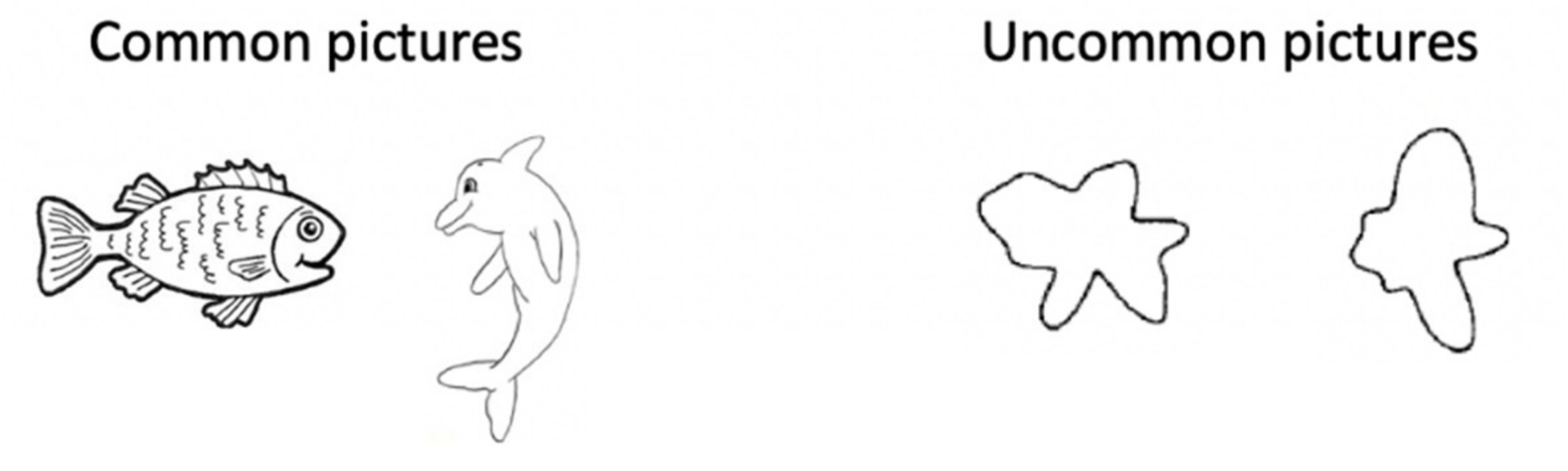 Brainsci 11 01146 g0a1 Brainsci 11 01146 g0a1