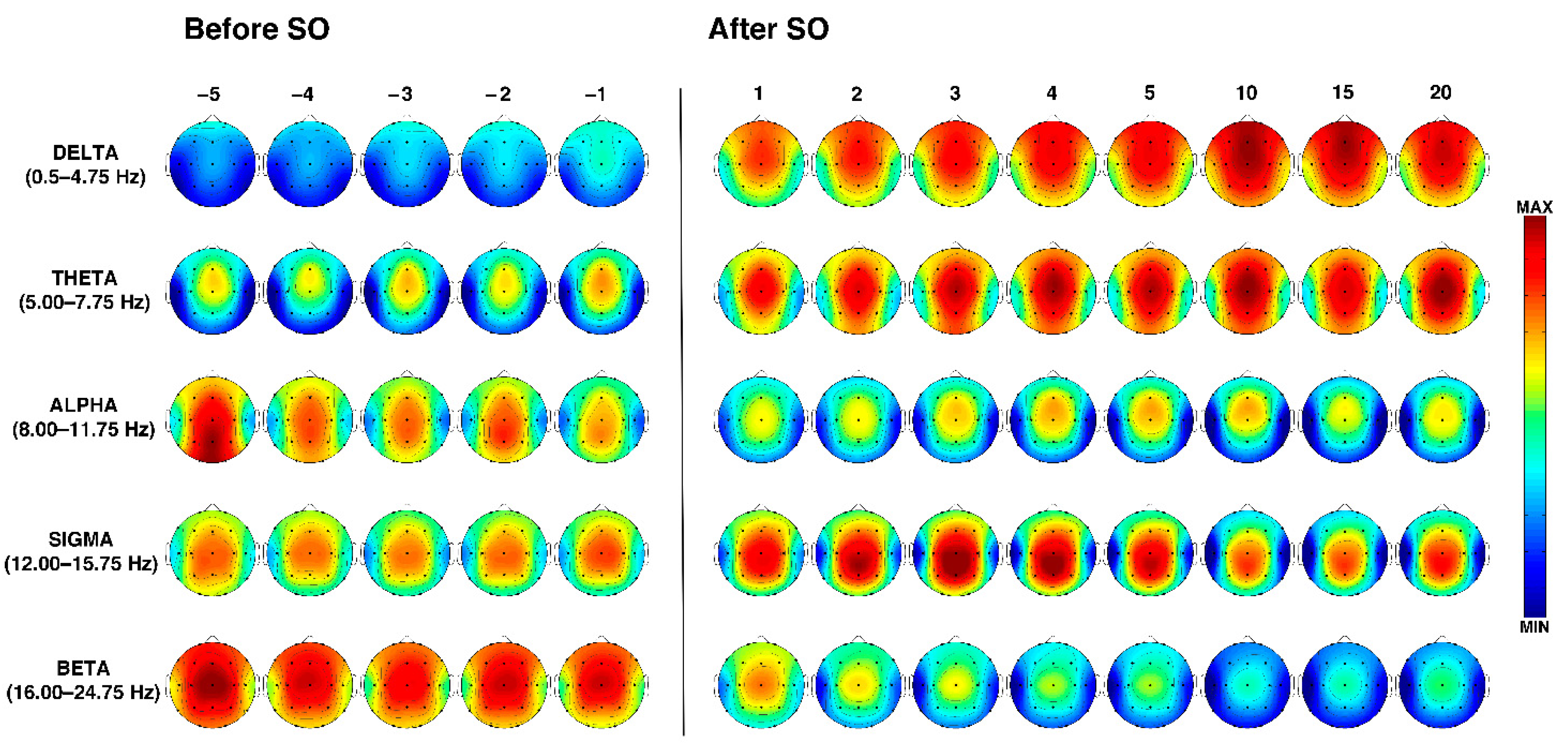 Brainsci 11 01261 g002