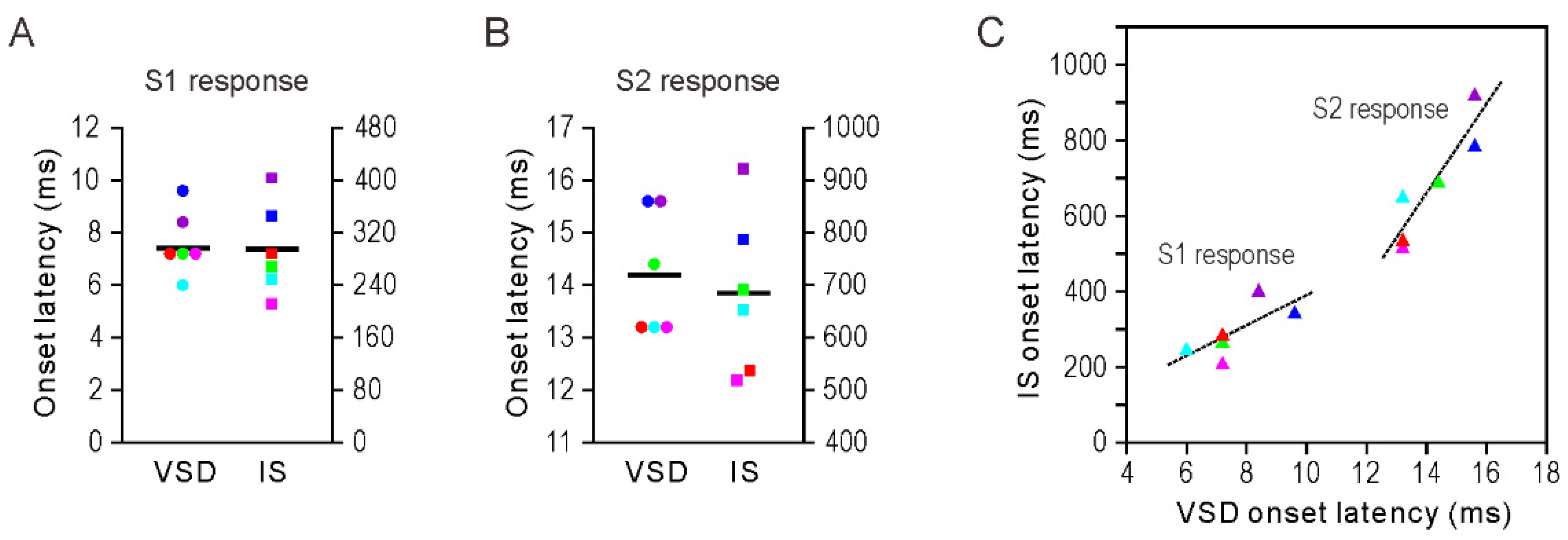 Brainsci 11 01294 g002