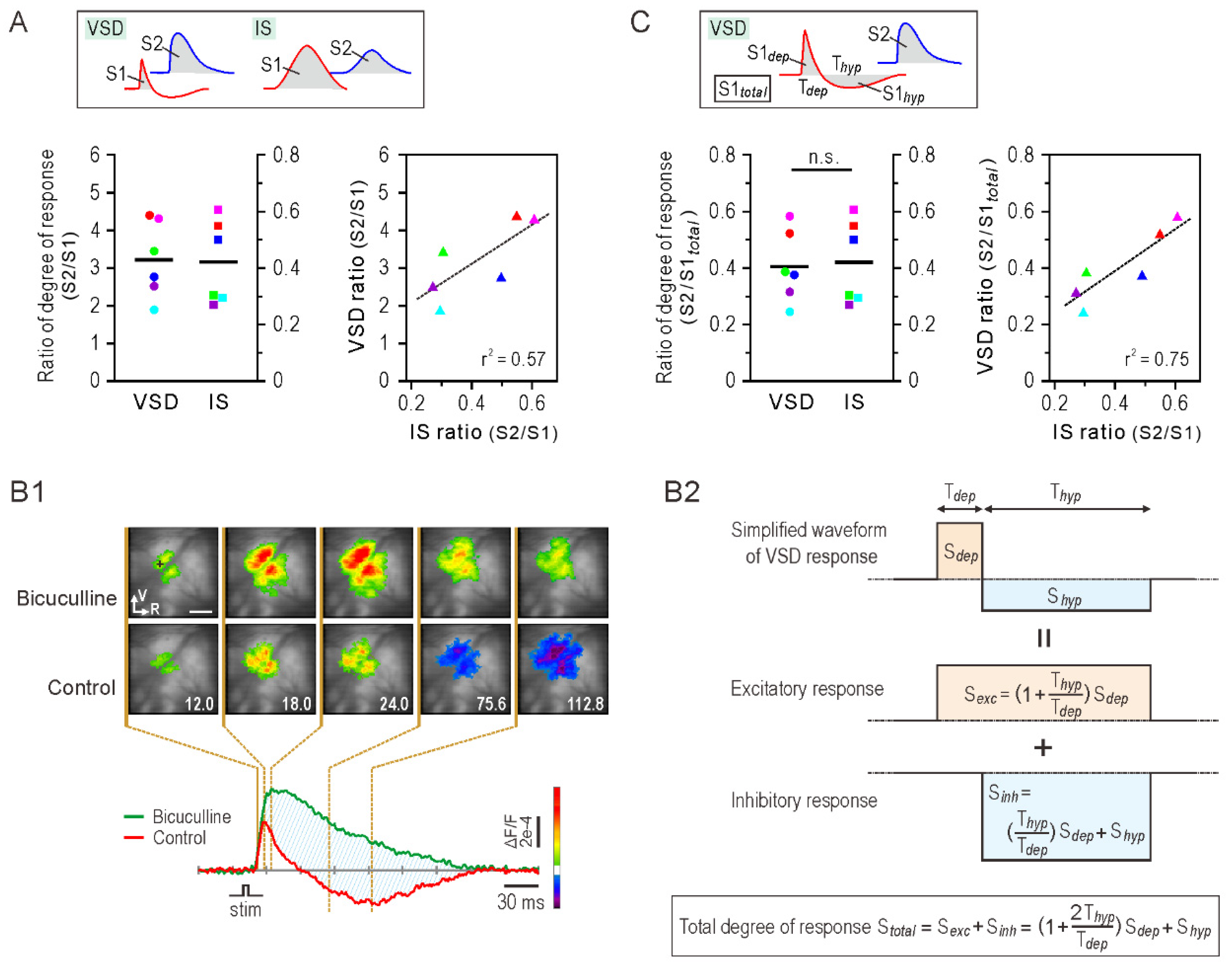 Brainsci 11 01294 g004