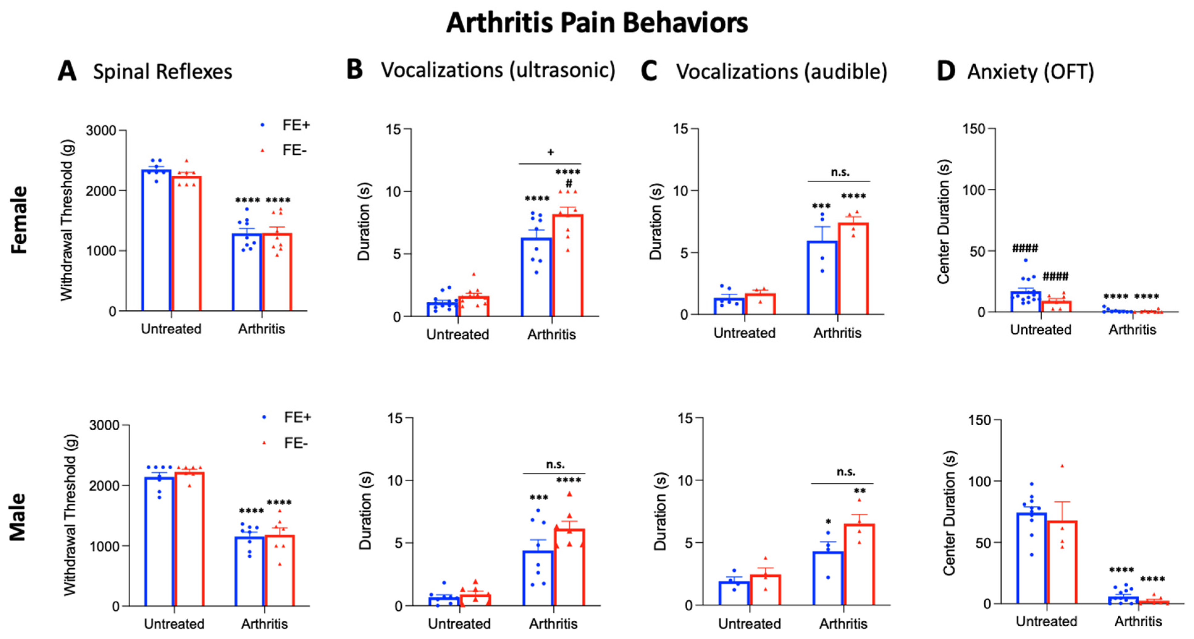 Brainsci 11 01339 g003 Brainsci 11 01339 g003