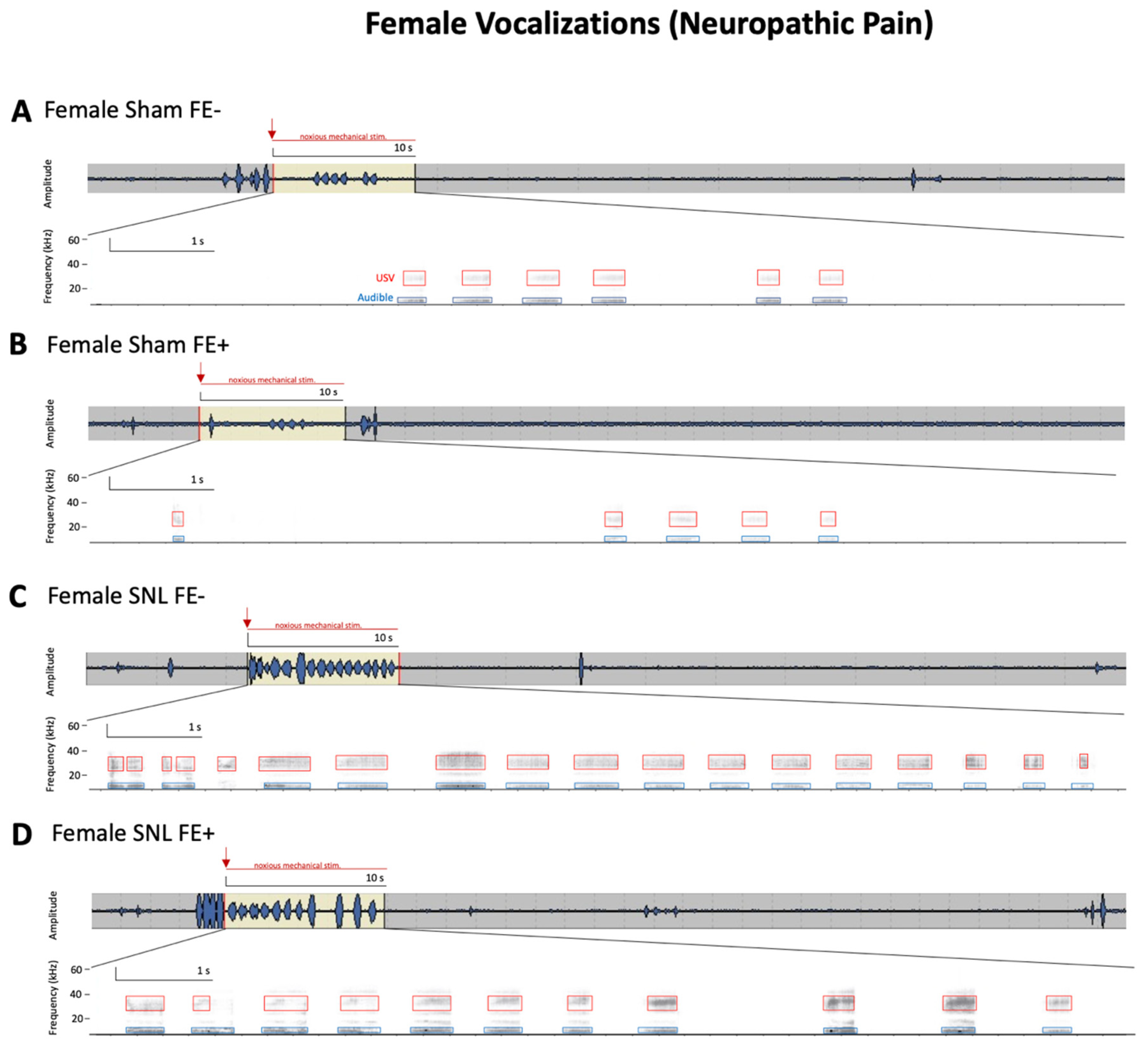Brainsci 11 01339 g005 Brainsci 11 01339 g005