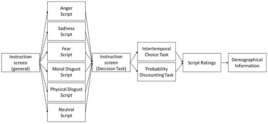 Brain Sciences | Free Full-Text | “I Feel Therefore I Decide”: Effect of  Negative Emotions on Temporal Discounting and Probability Discounting