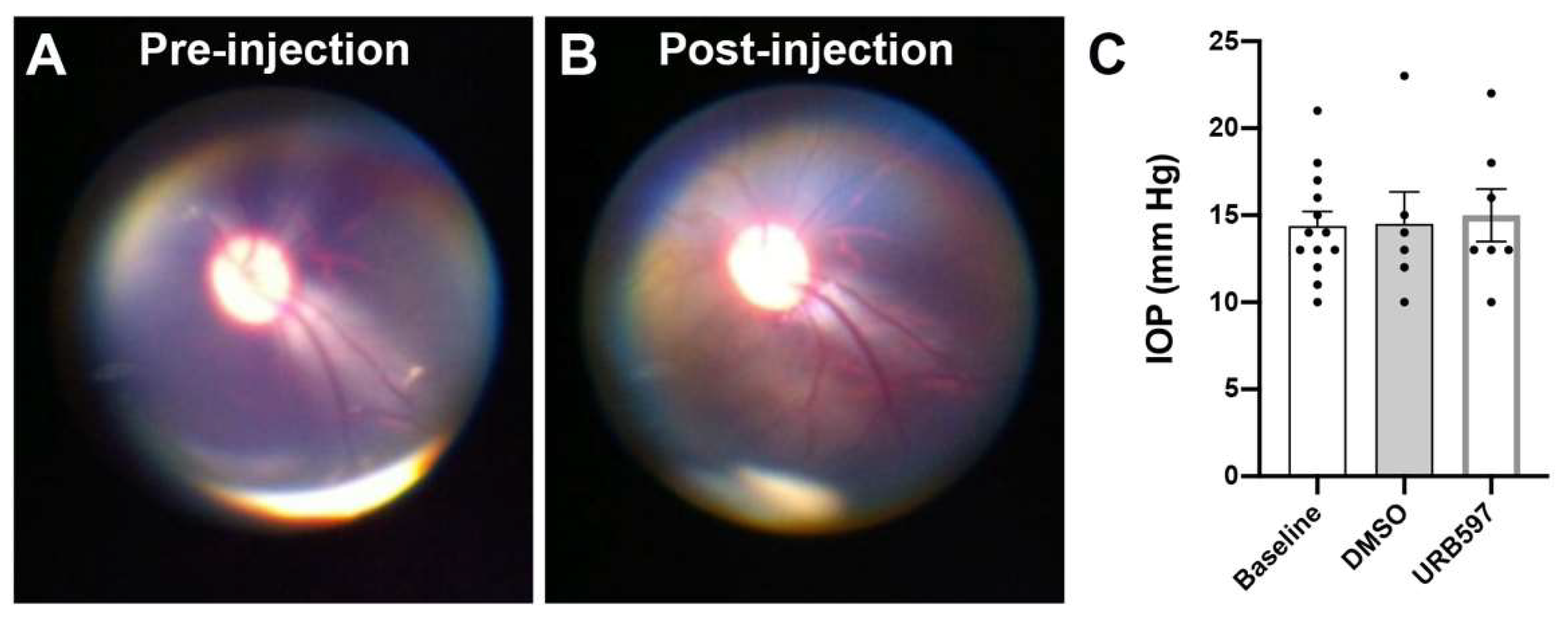 Brainsci 11 01418 g001