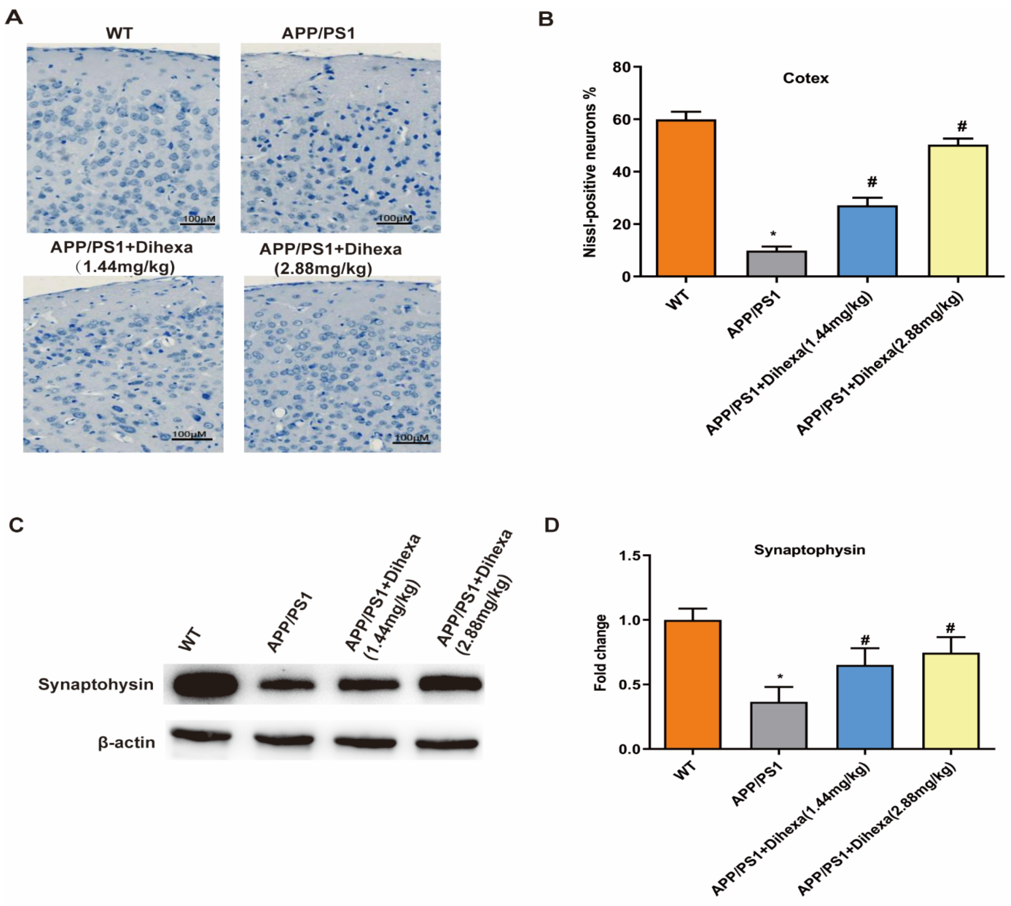 Brainsci 11 01487 g003