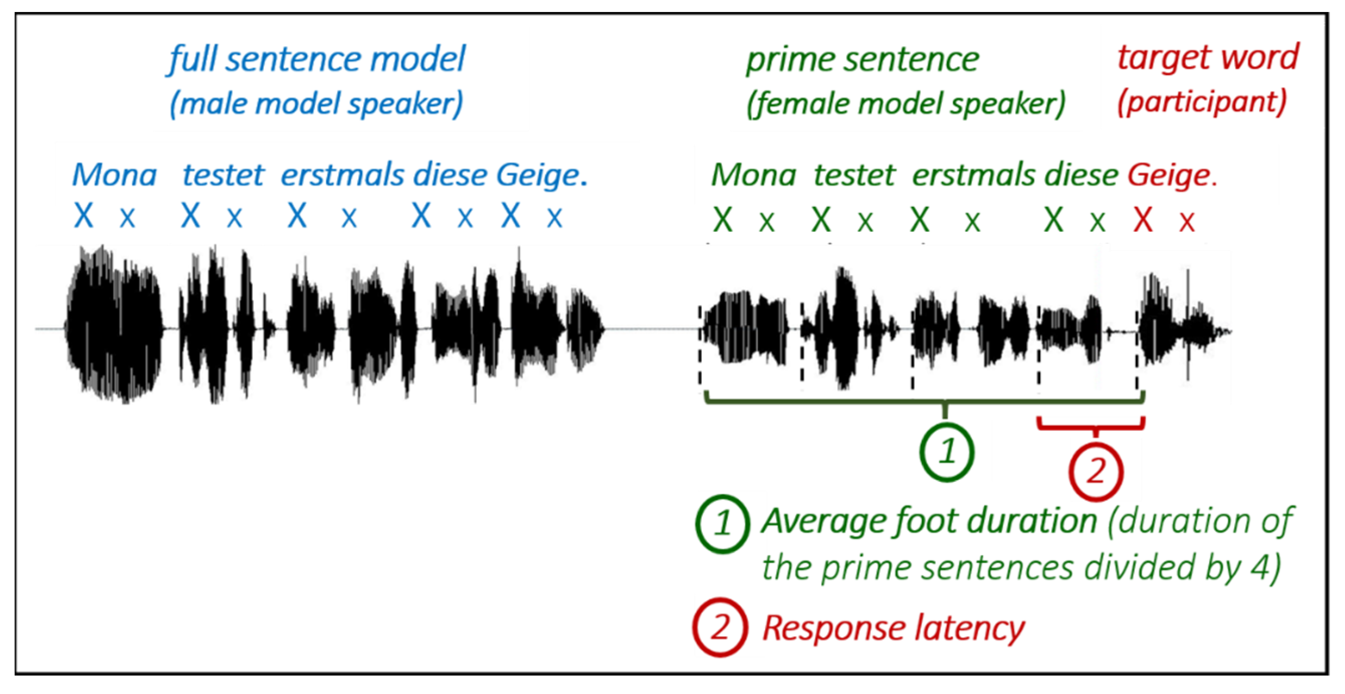 Brain Sciences | Free Full-Text | In Time with the Beat: Entrainment in  Patients with Phonological Impairment, Apraxia of Speech, and Parkinson's  Disease