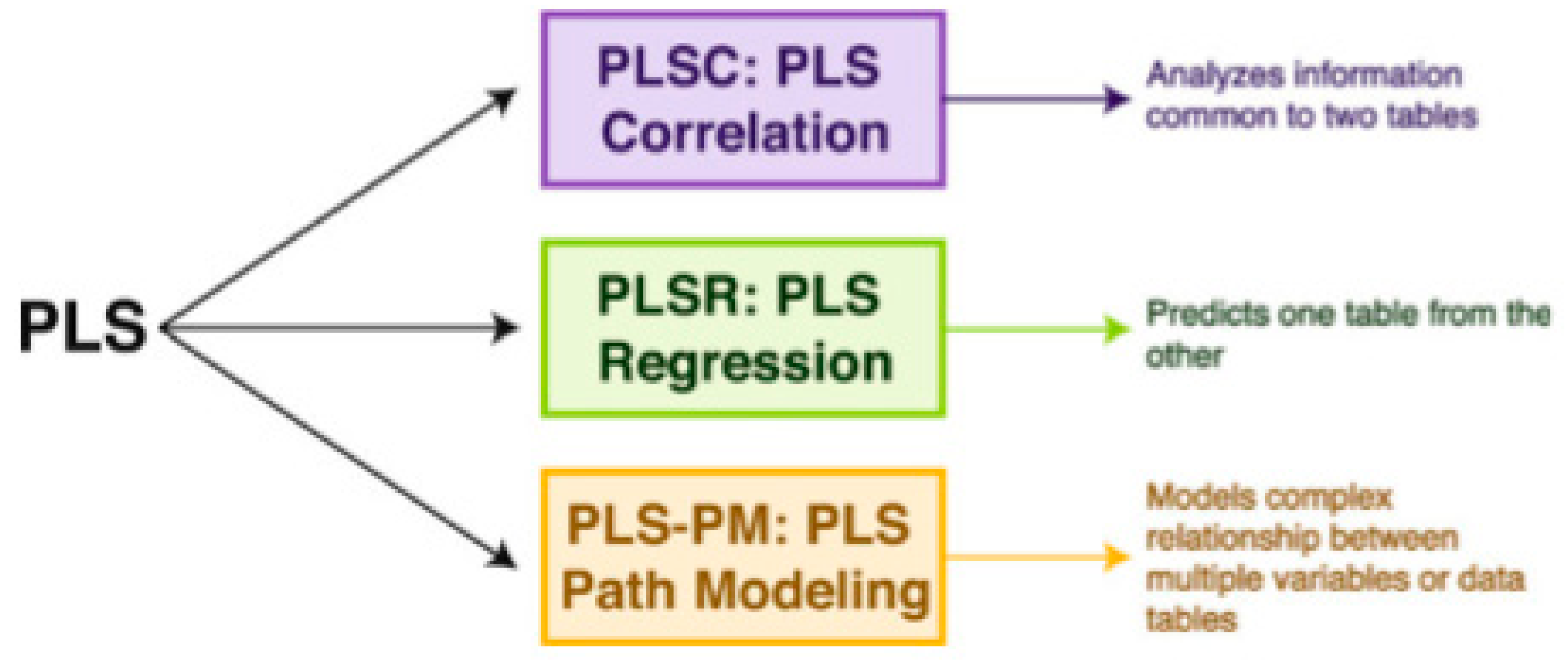 Brainsci 11 01531 g004 Brainsci 11 01531 g004