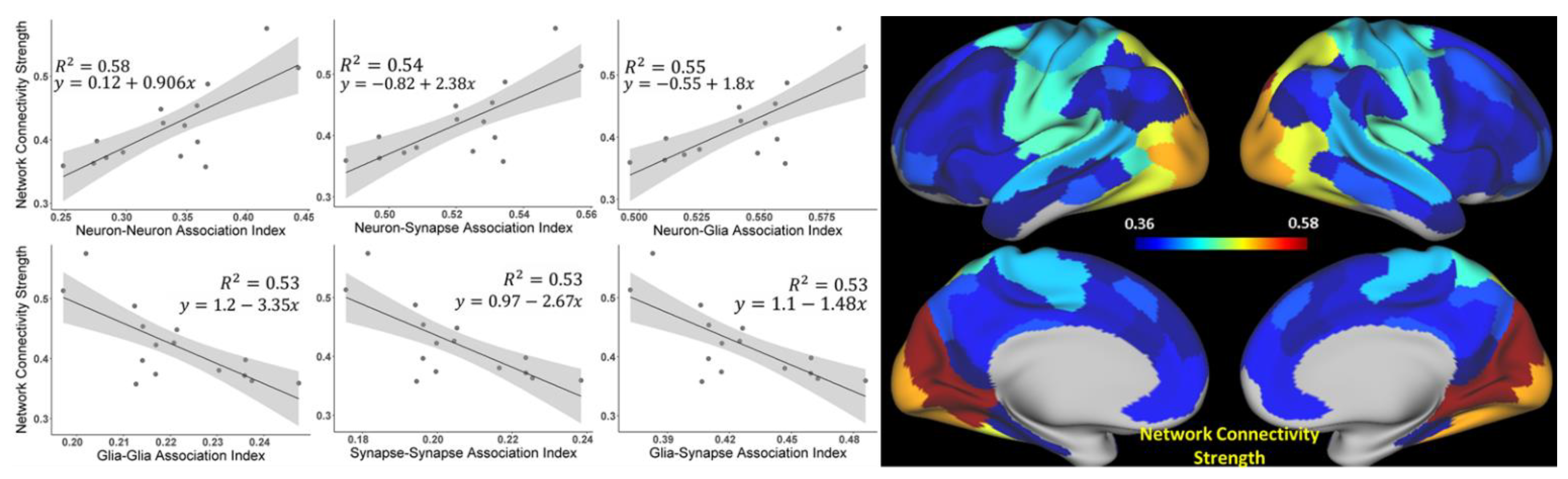 Brainsci 11 01565 g004