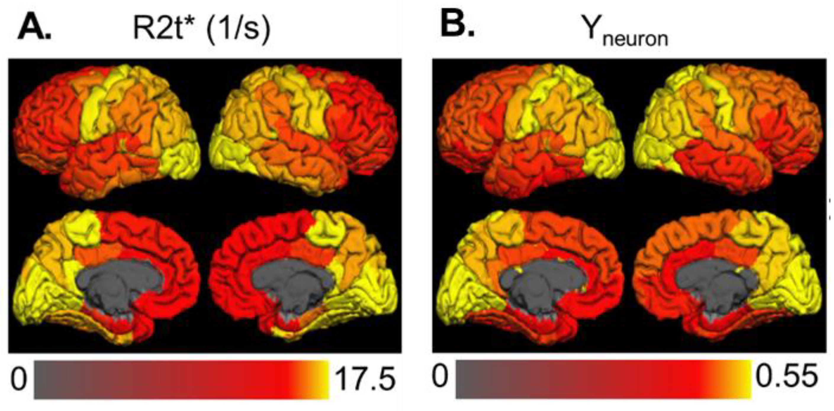 Brainsci 11 01565 g0a1