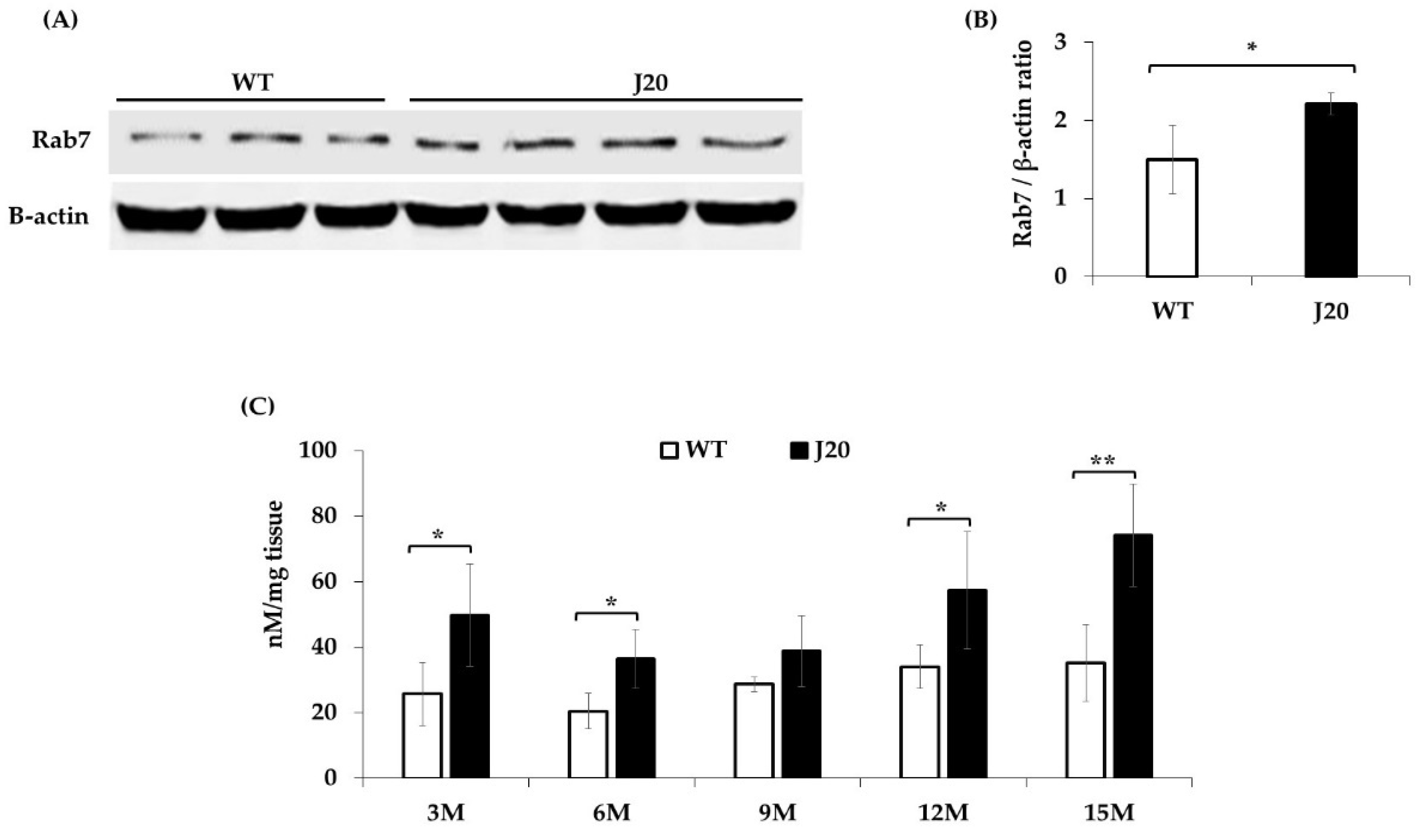 Brainsci 11 01603 g005