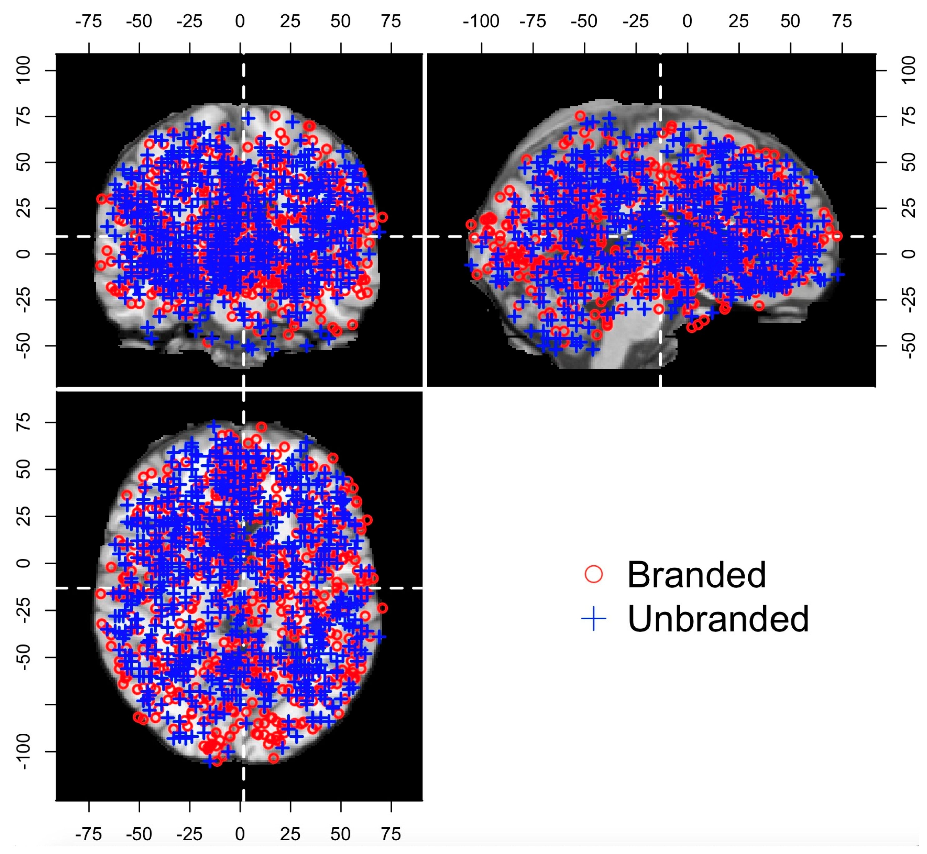 Brainsci 11 01619 g002