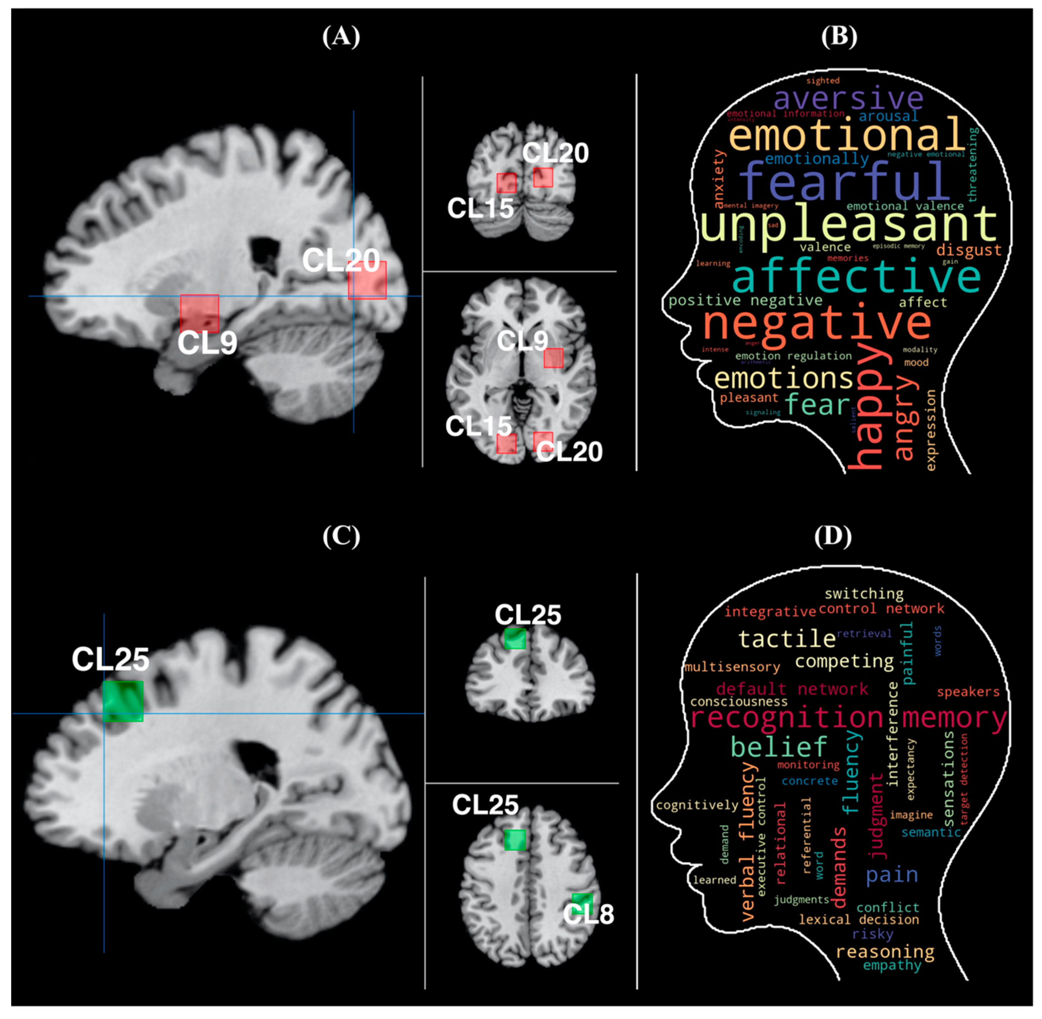 Brainsci 11 01619 g007