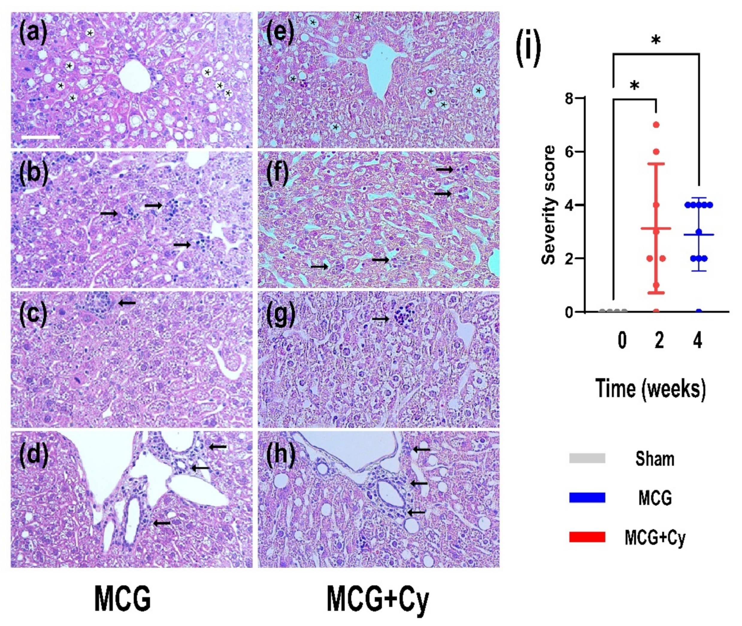 Brainsci 11 01622 g002