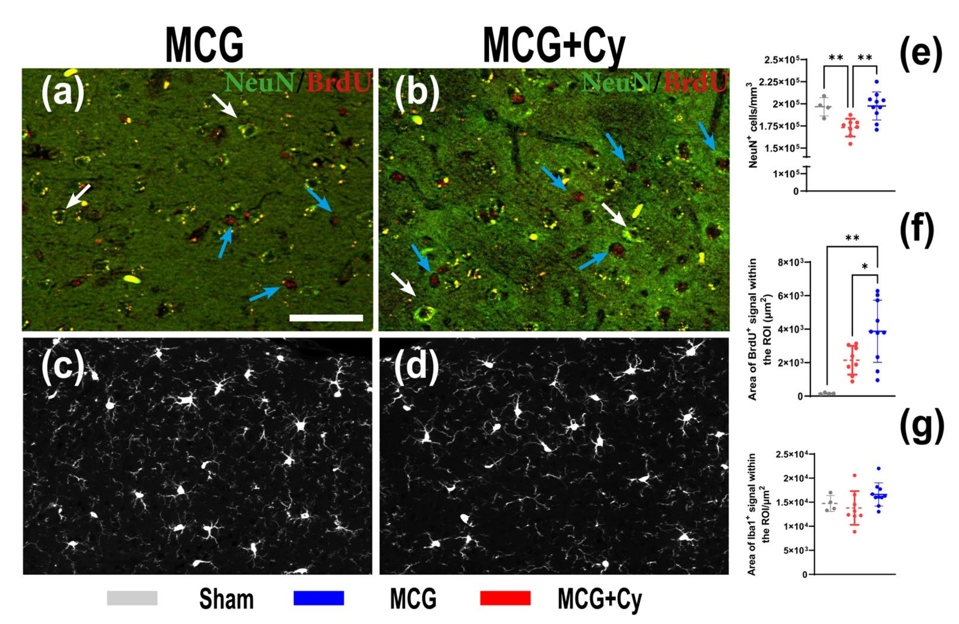Brainsci 11 01622 g004