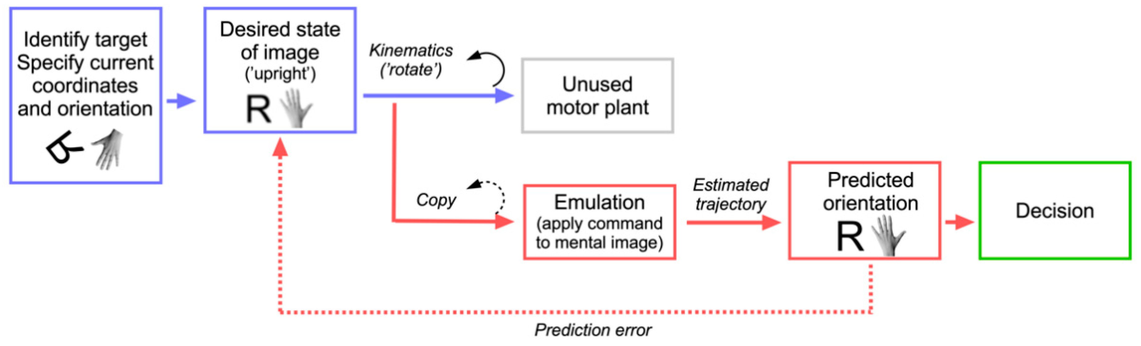 Brainsci 11 01652 g004 Brainsci 11 01652 g004