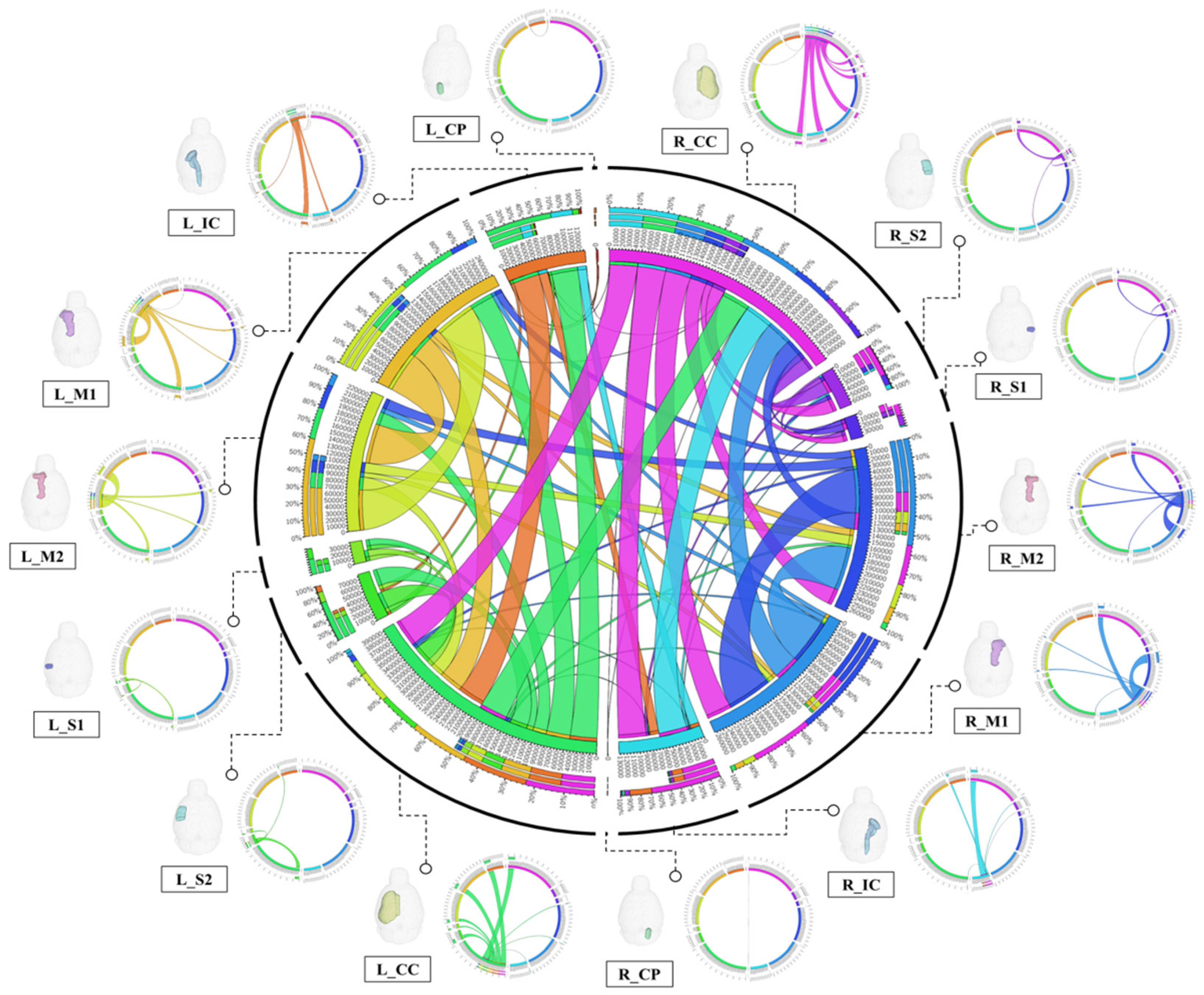 Brainsci 11 01656 g005 Brainsci 11 01656 g005