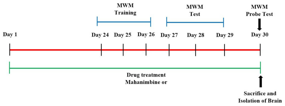 Brainsci 12 00012 g001