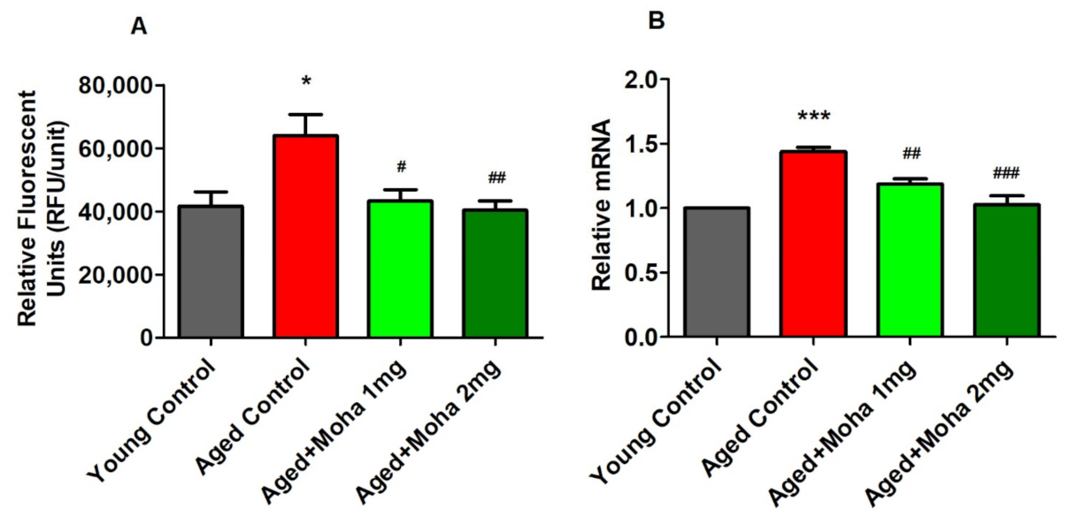 Brainsci 12 00012 g006