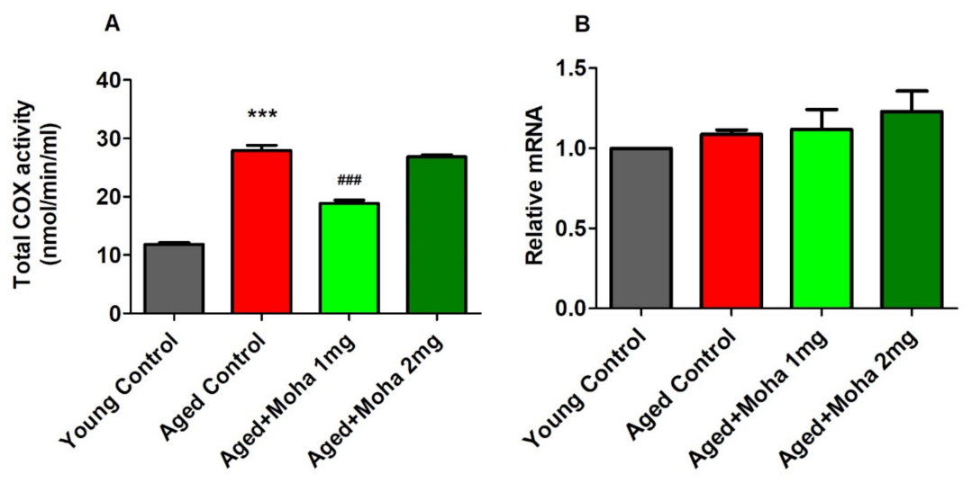 Brainsci 12 00012 g007