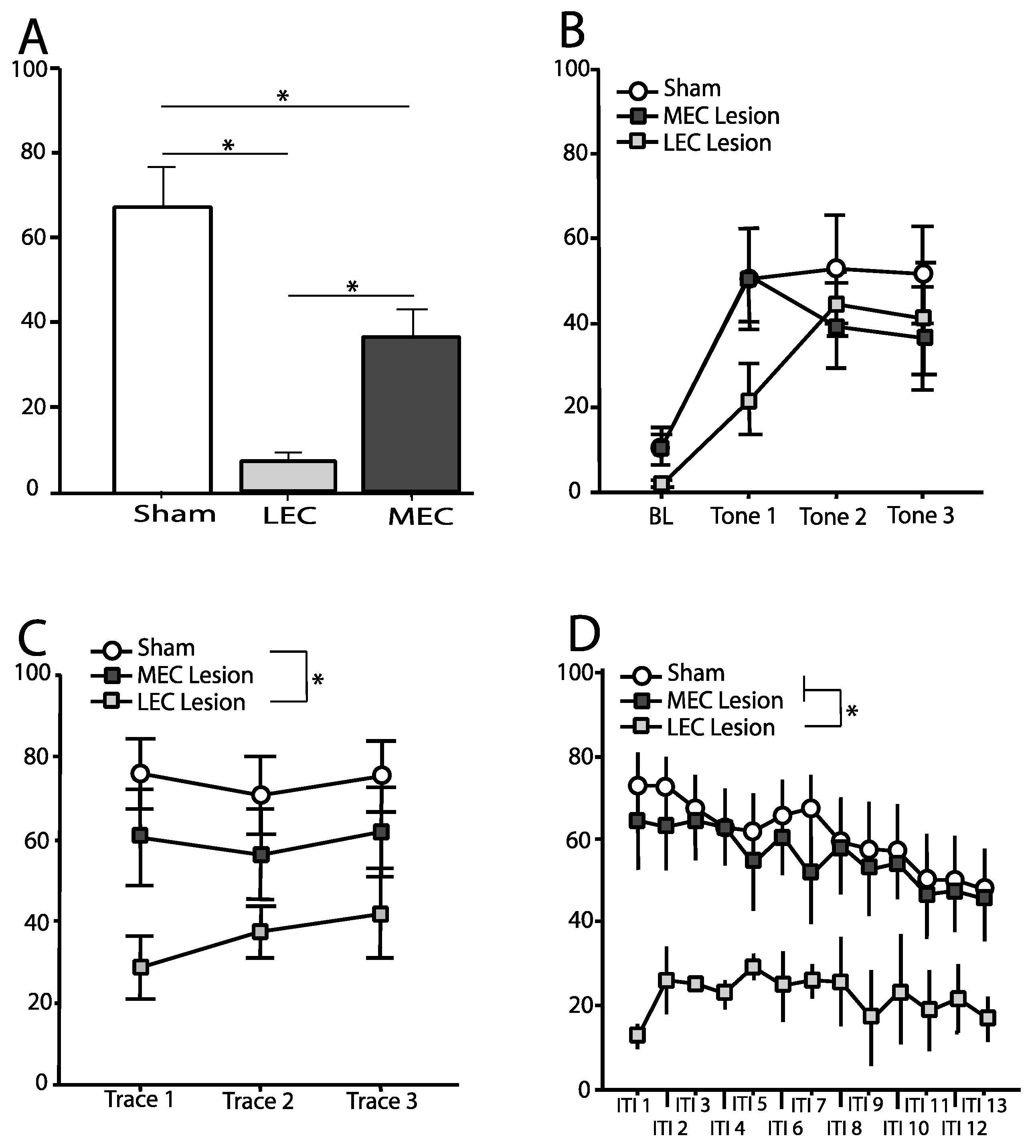 Brainsci 12 00034 g003