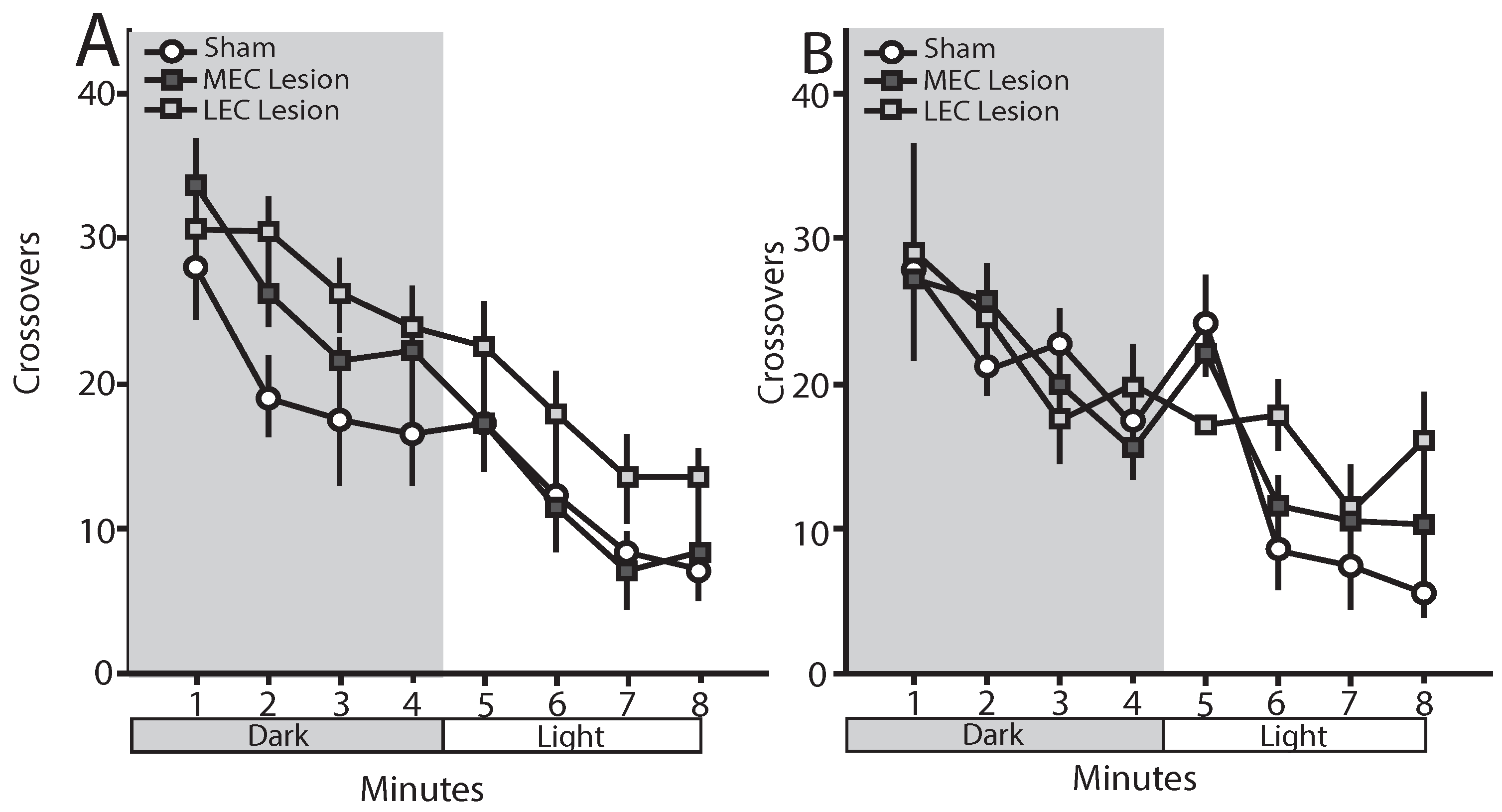 Brainsci 12 00034 g005