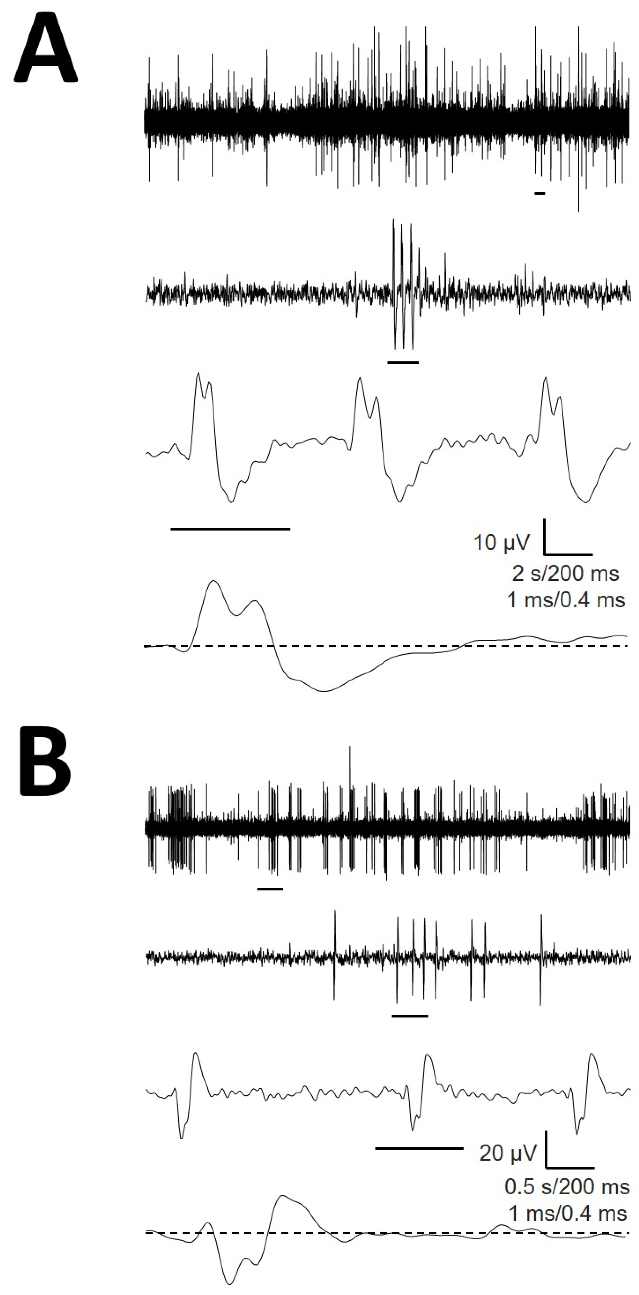 Brainsci 12 00043 g004
