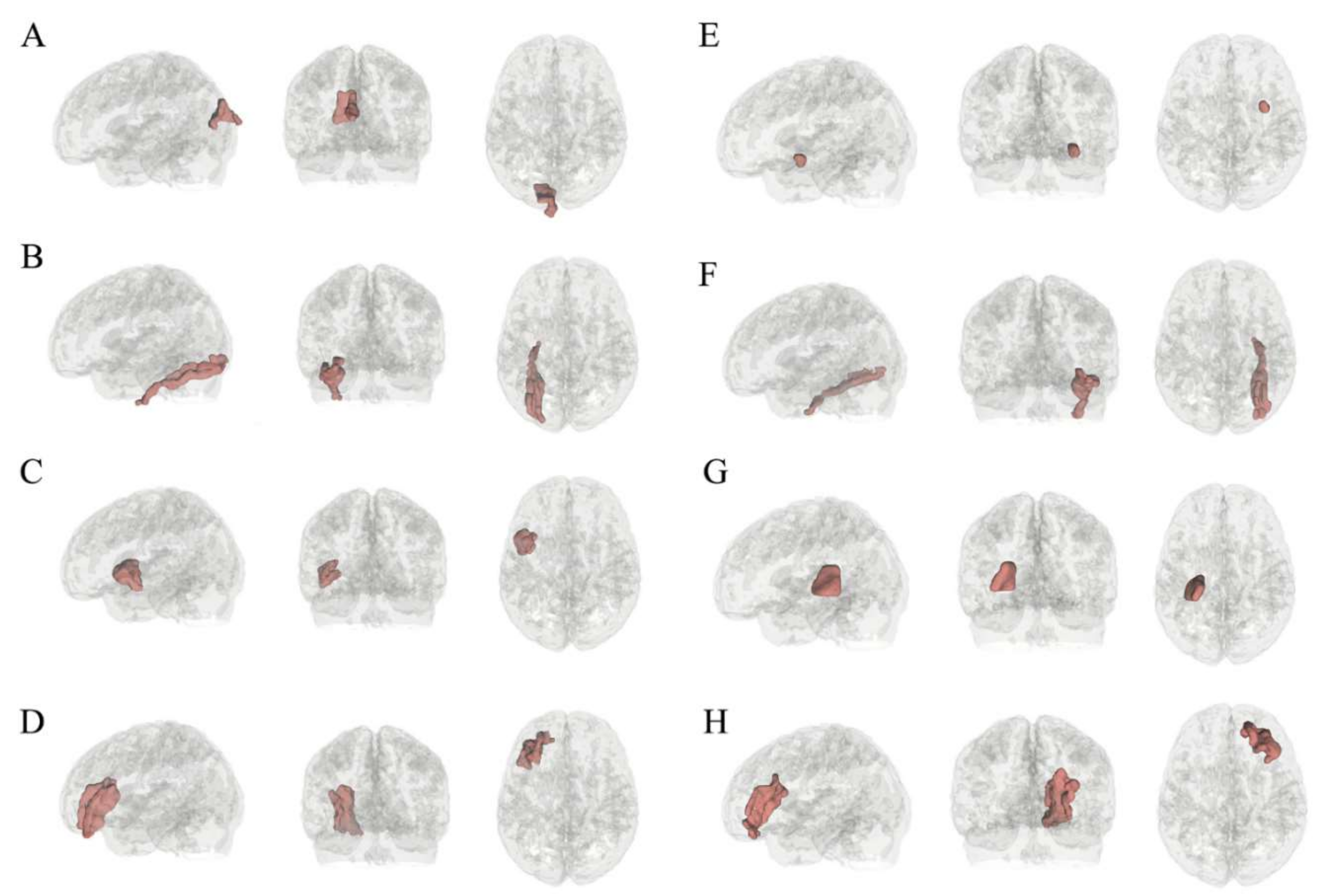 Brainsci 12 00044 g002