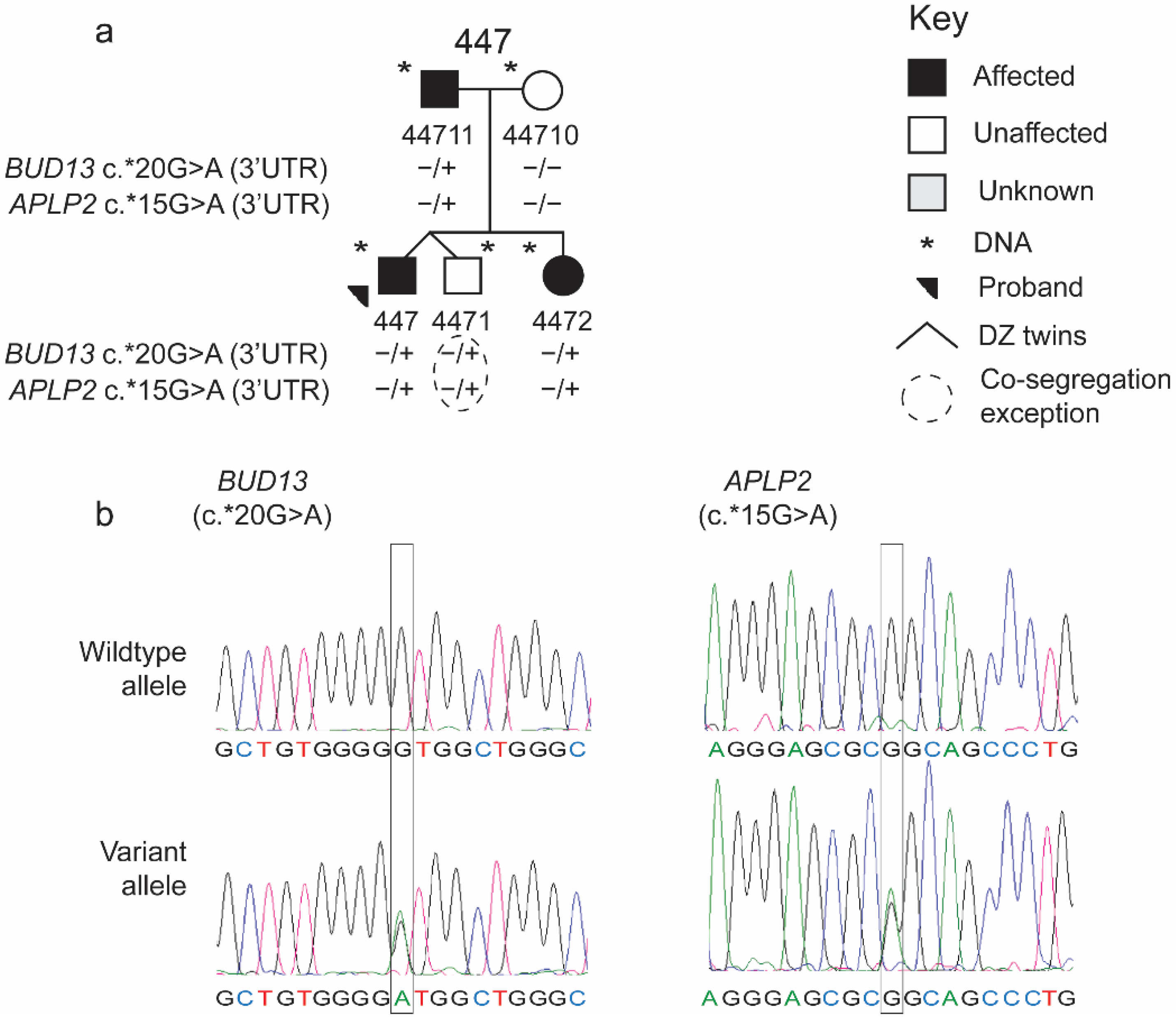 Brainsci 12 00047 g002