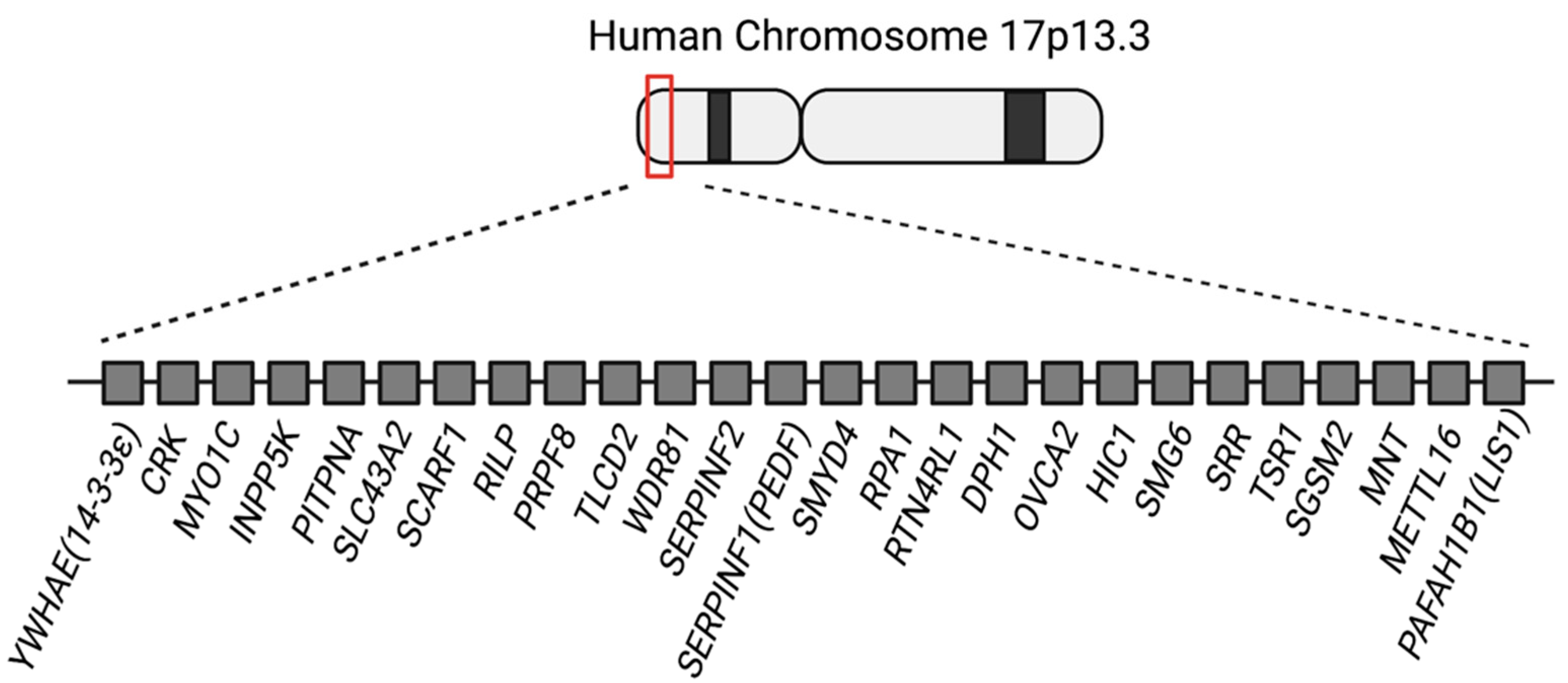 Brainsci 12 00056 g001 Brainsci 12 00056 g001