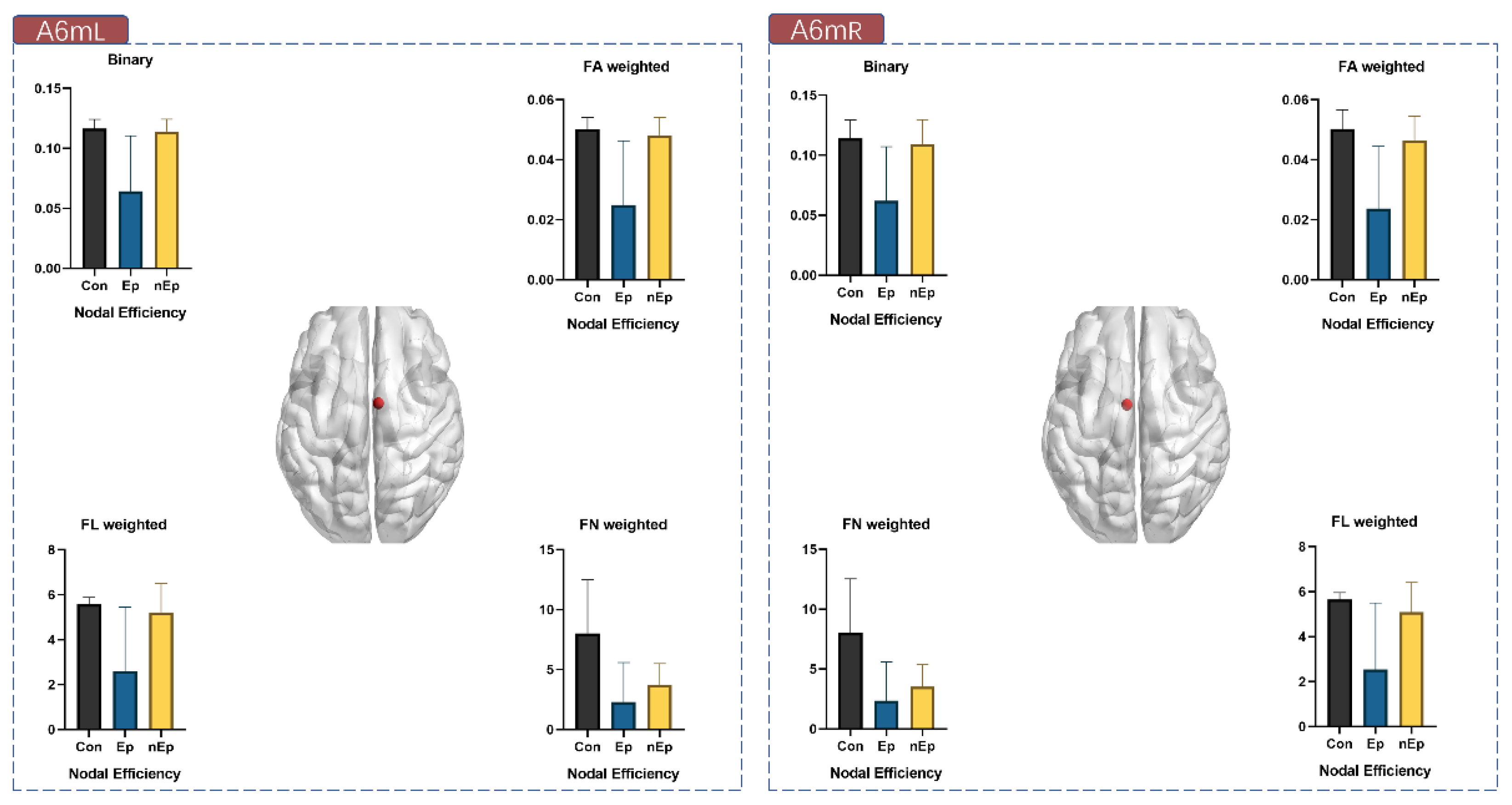 Brainsci 12 00060 g005