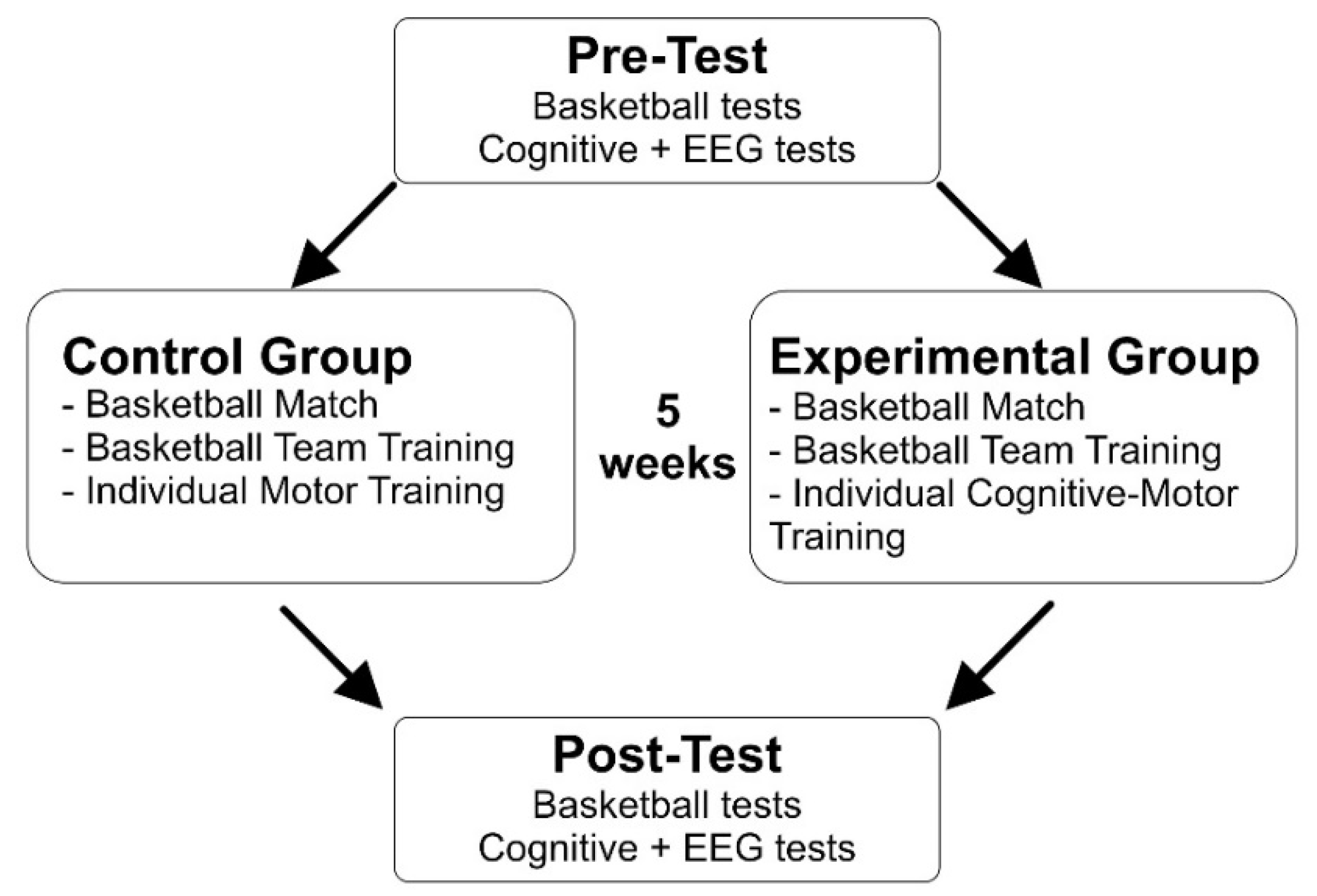 Brain Sciences | Free Full-Text | Effects of a Cognitive-Motor Training on  Anticipatory Brain Functions and Sport Performance in Semi-Elite Basketball  Players