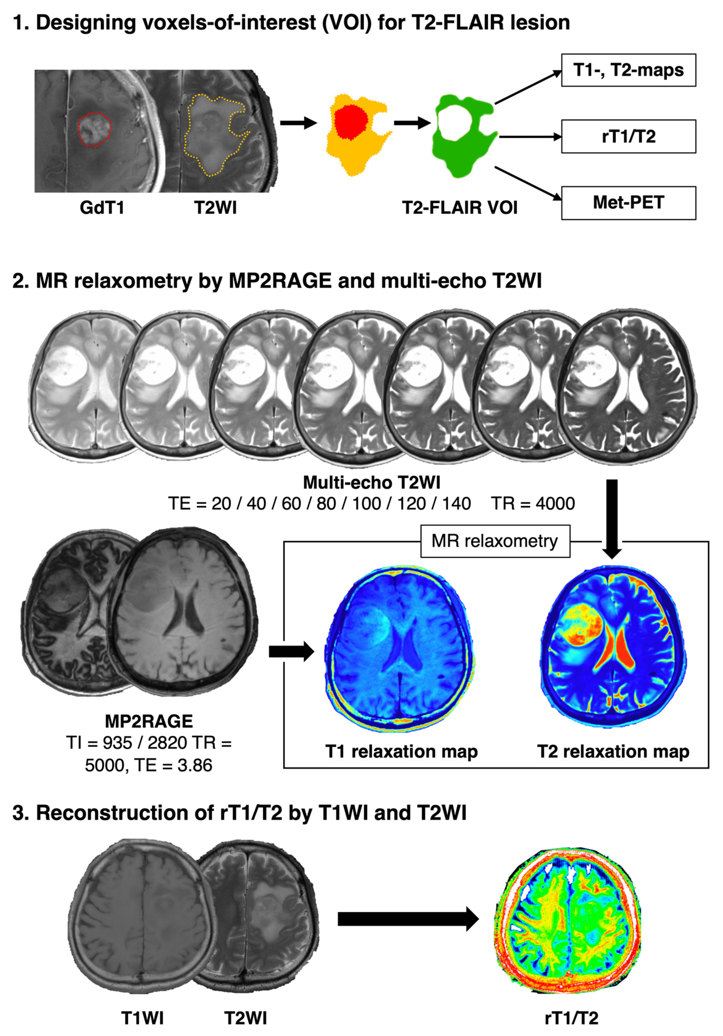 Brainsci 12 00099 g001
