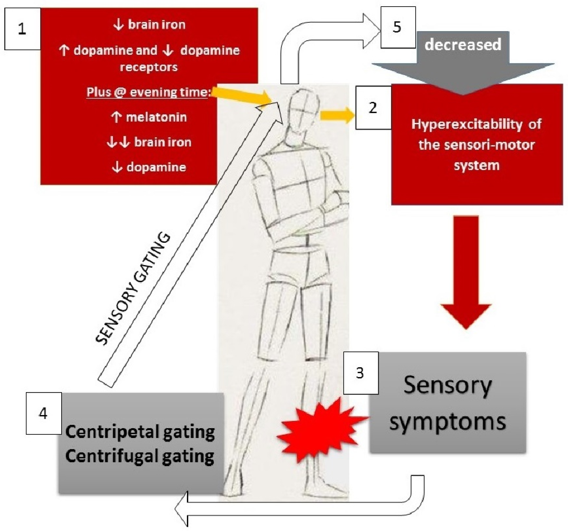 Brain Sciences | Free Full-Text | Restless Legs Syndrome: Known Knowns and  Known Unknowns