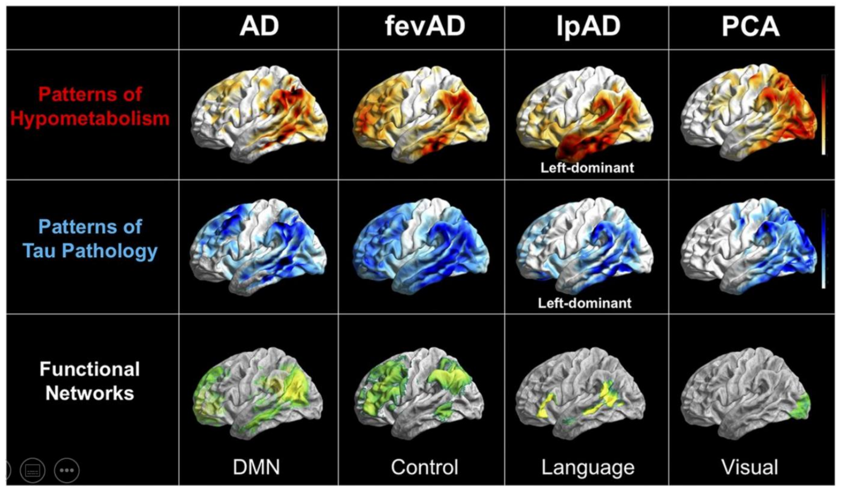 Brainsci 12 00146 g003