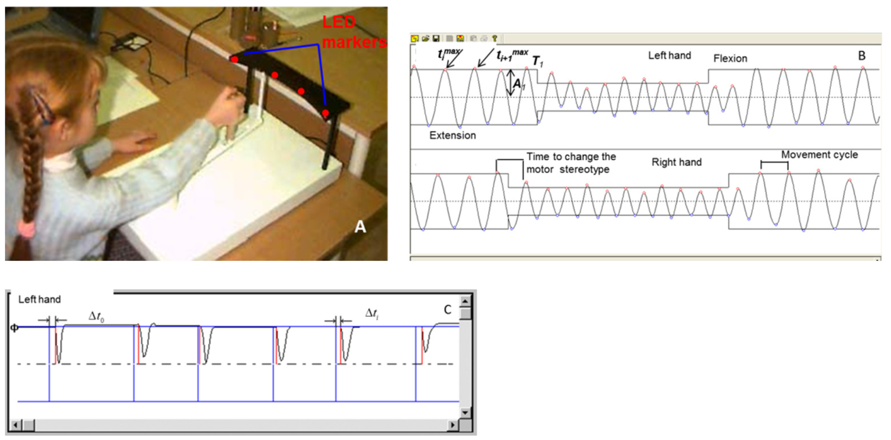 Brainsci 12 00245 g002