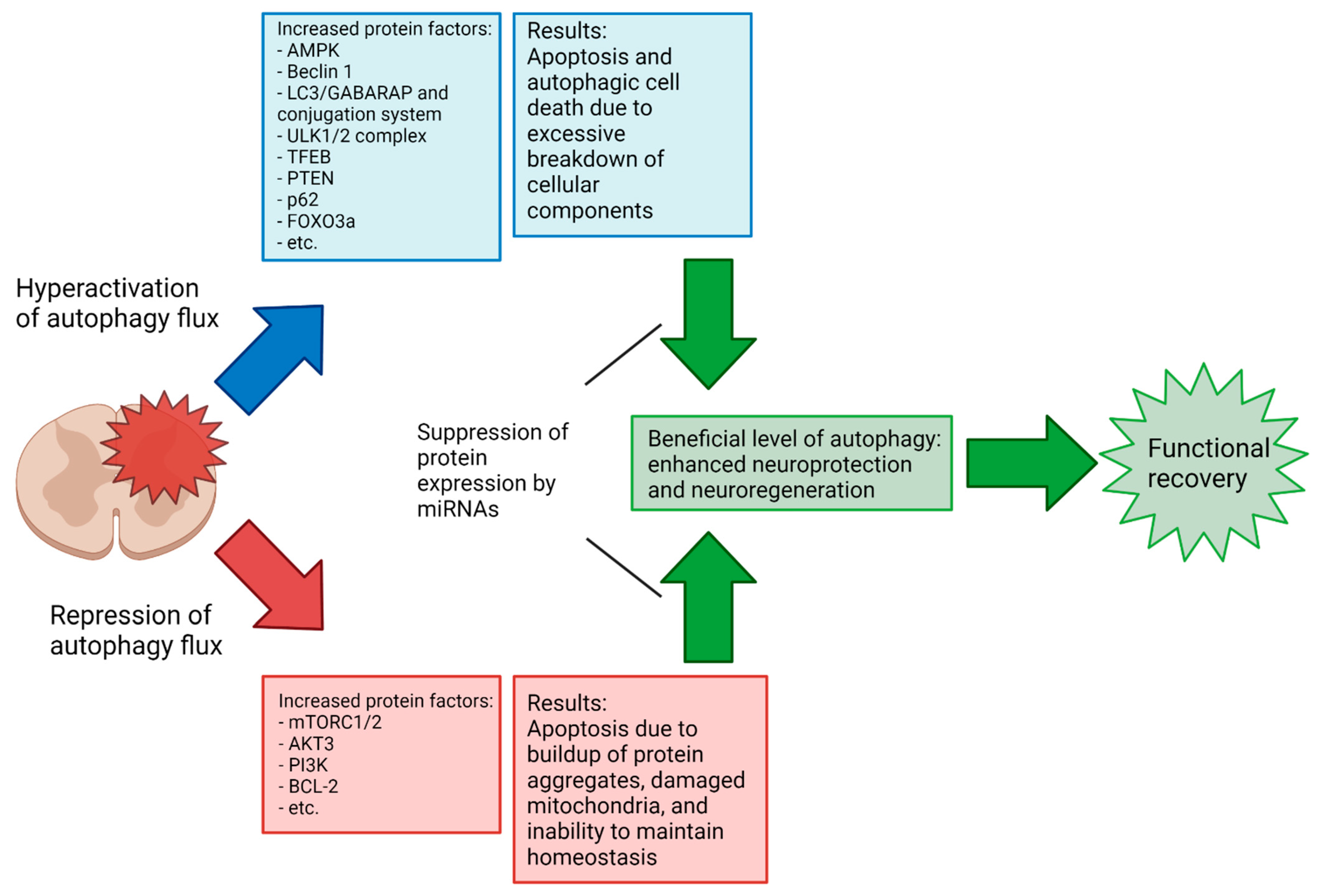 Brainsci 12 00247 g006
